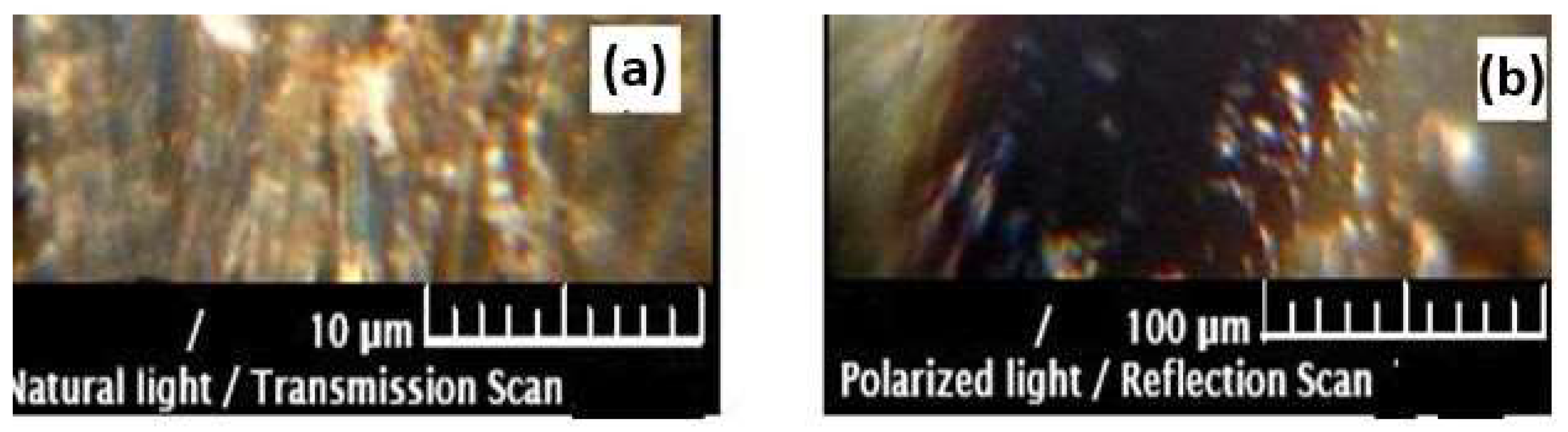 Polymers 15 03794 g005