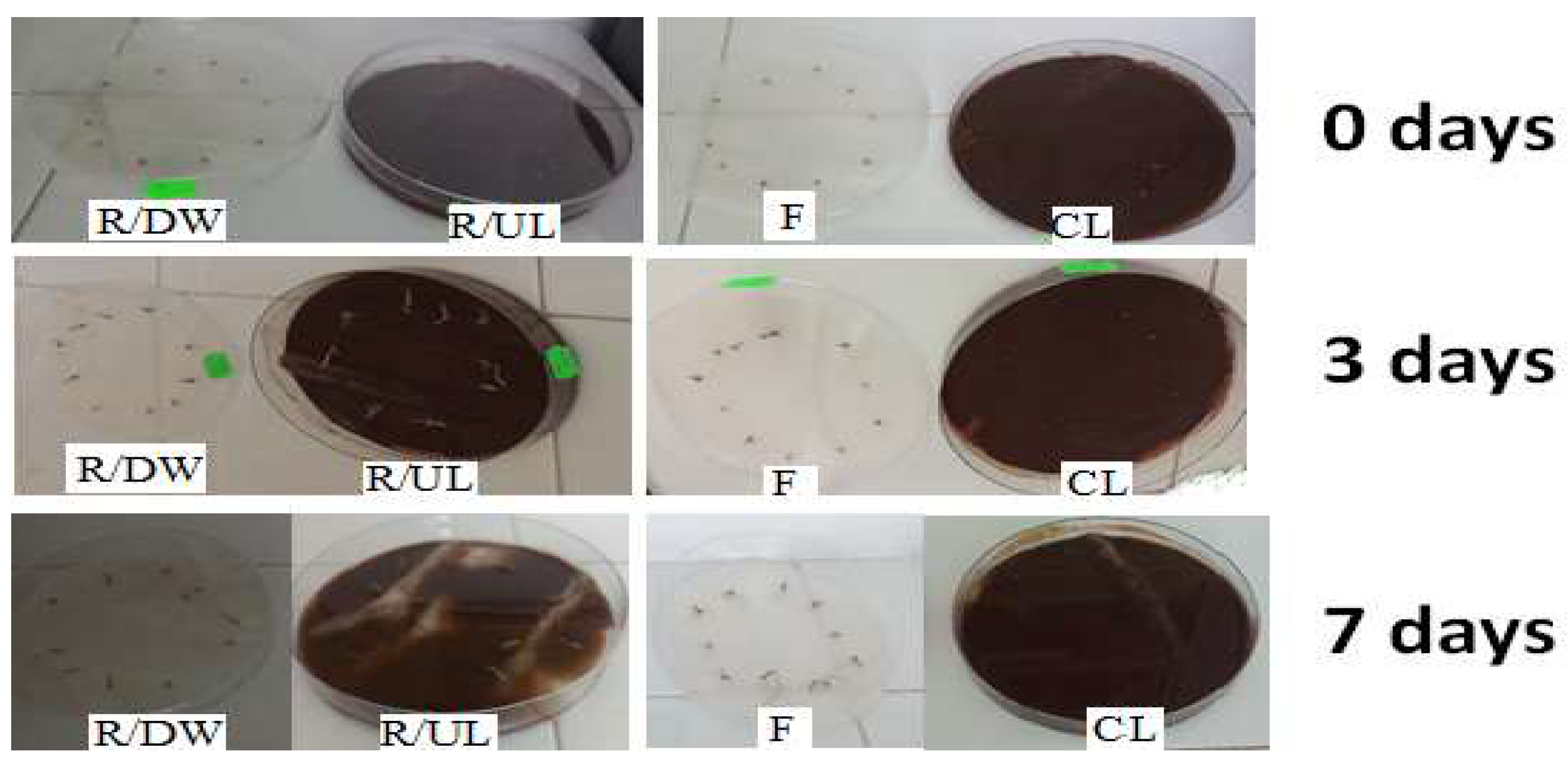Polymers 15 03794 g013