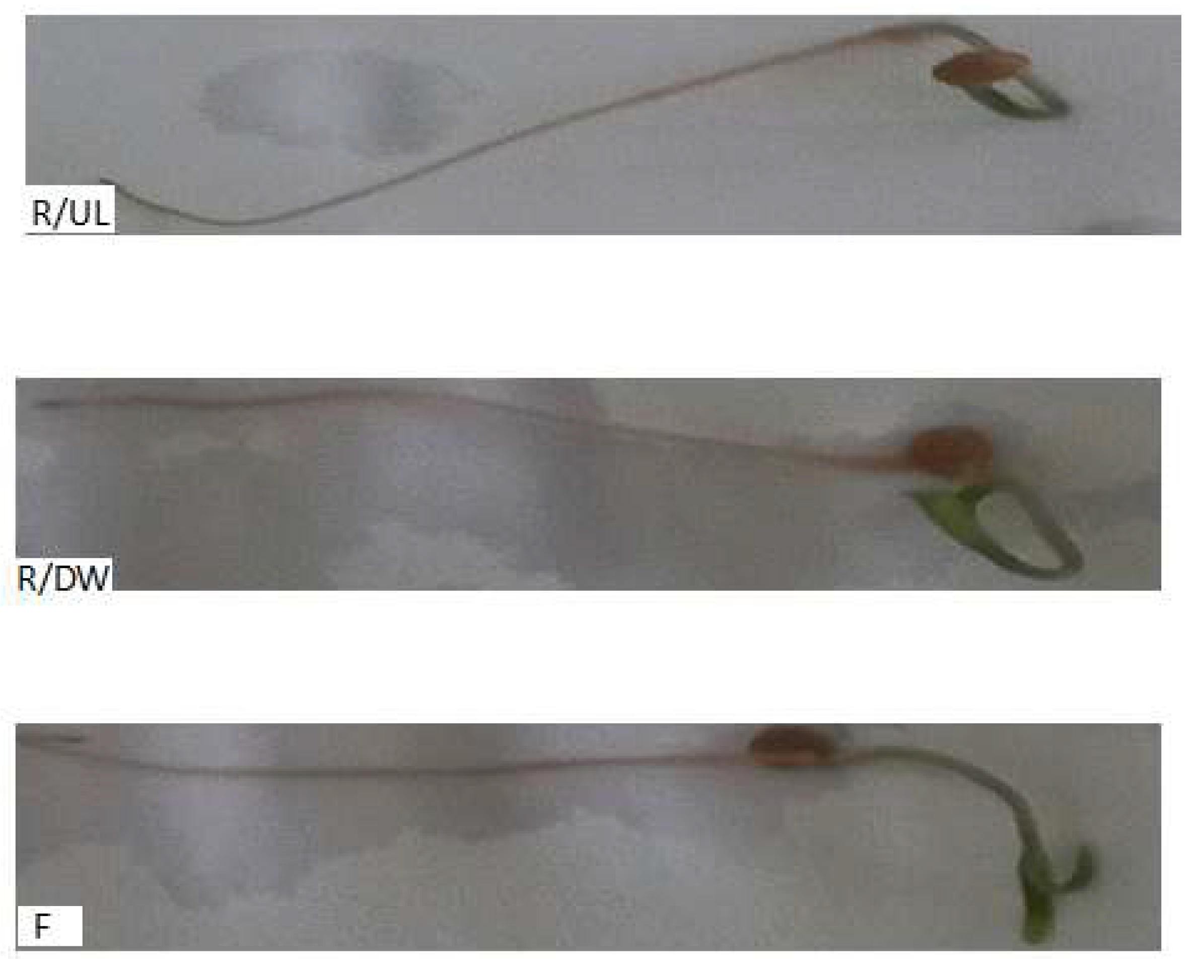 Polymers 15 03794 g015