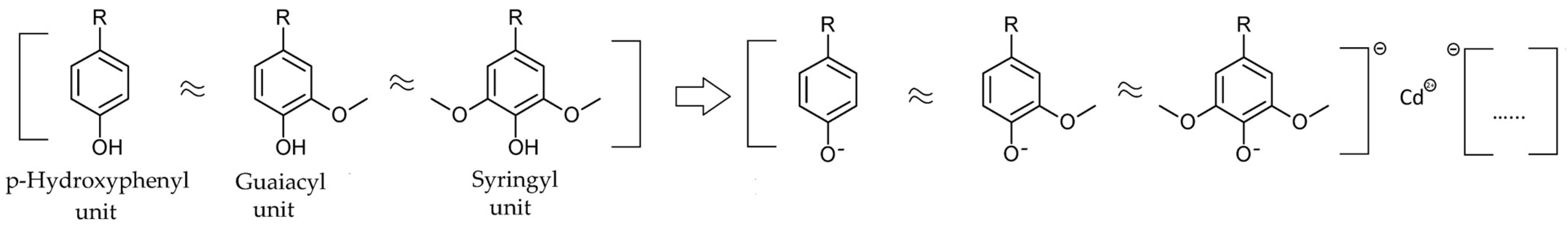 Polymers 15 03794 sch001