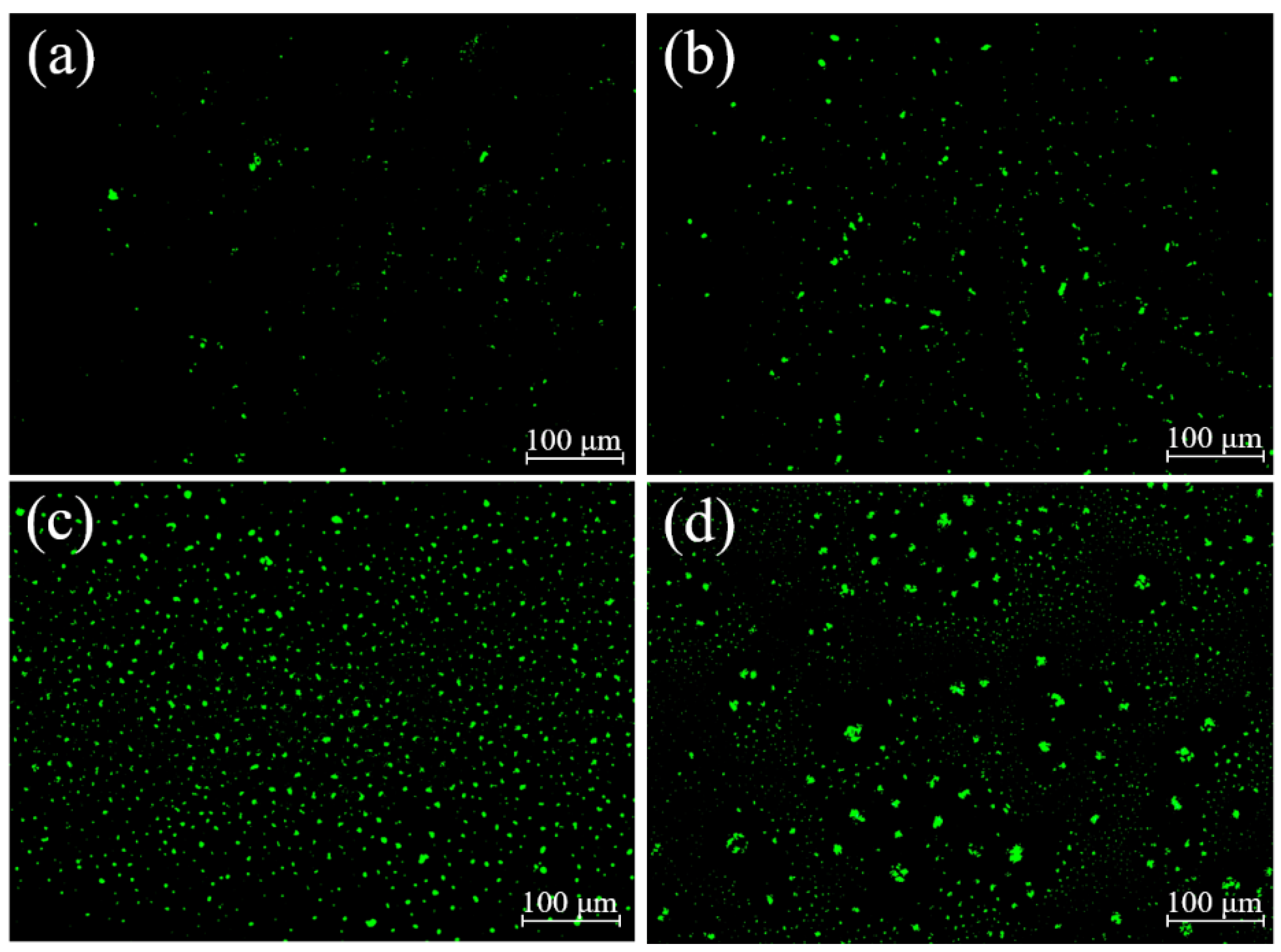 Polymers 15 03795 g004