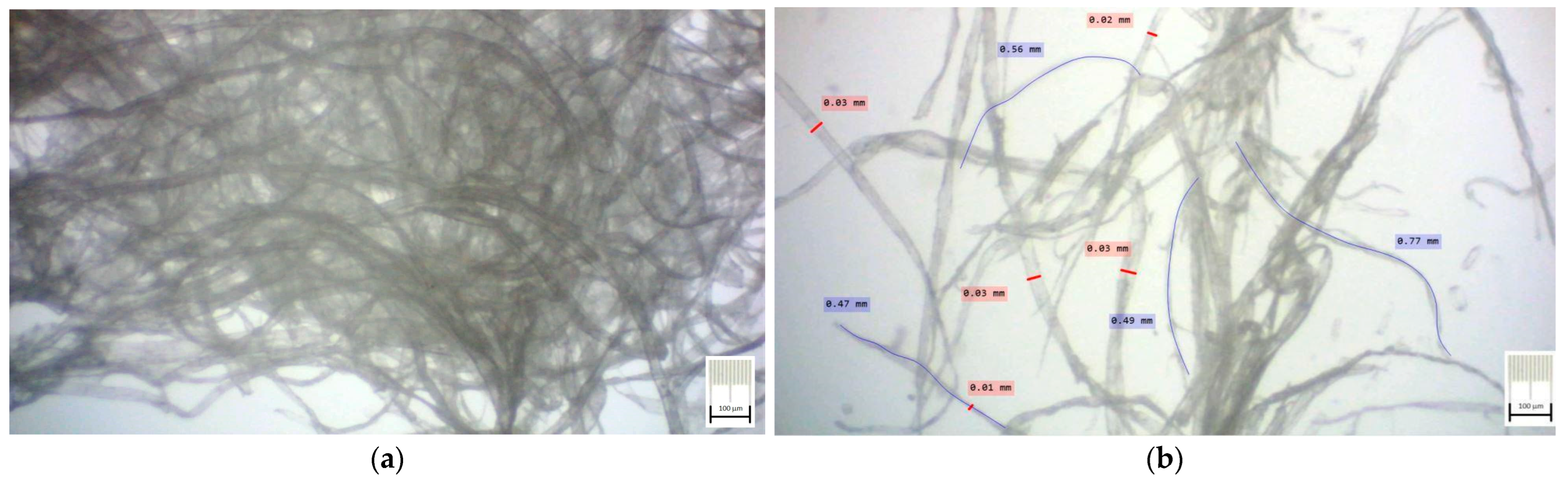 Polymers 15 03796 g004 Polymers 15 03796 g004