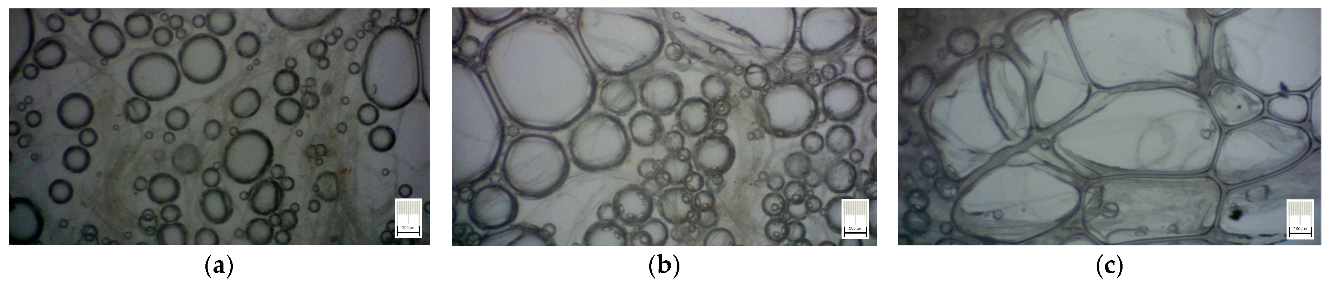 Polymers 15 03796 g005 Polymers 15 03796 g005