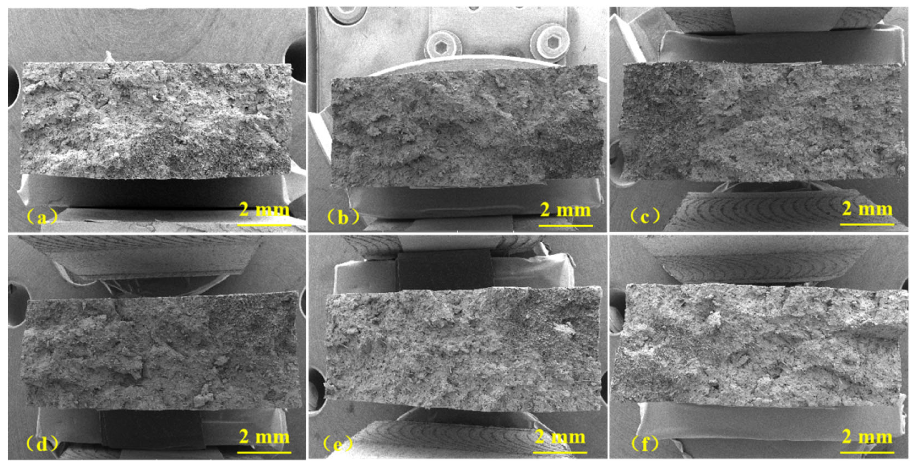 Polymers 15 03798 g003