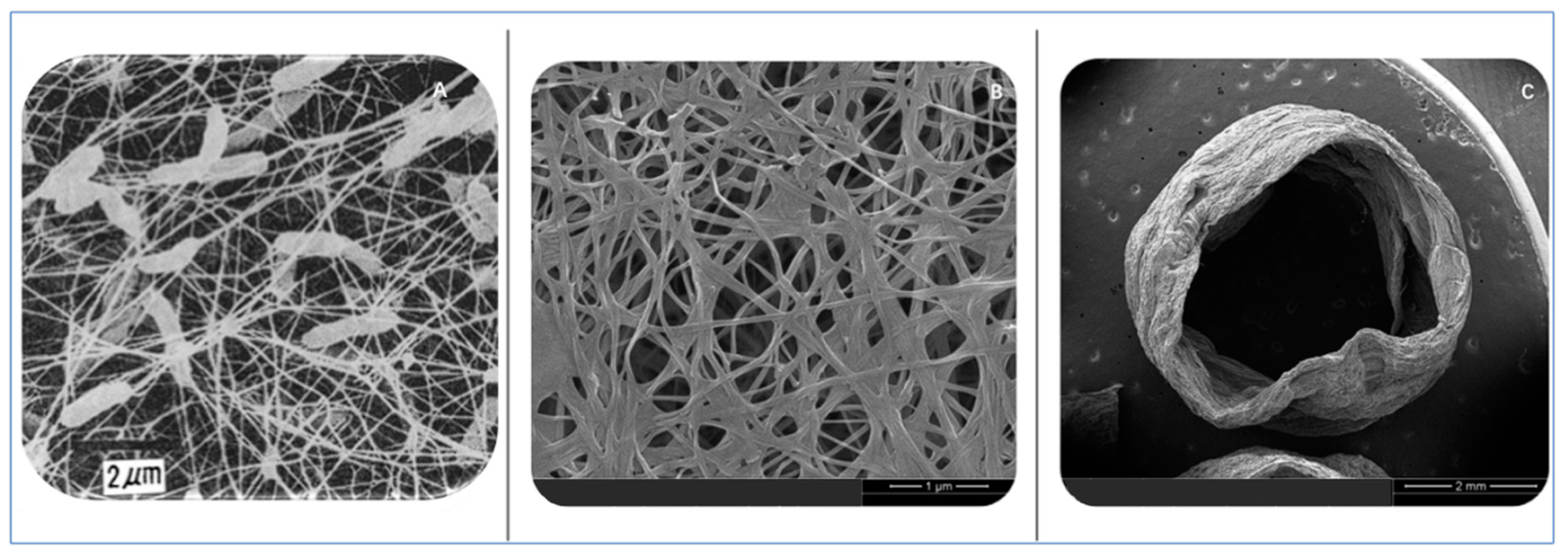 Polymers 15 03812 g002
