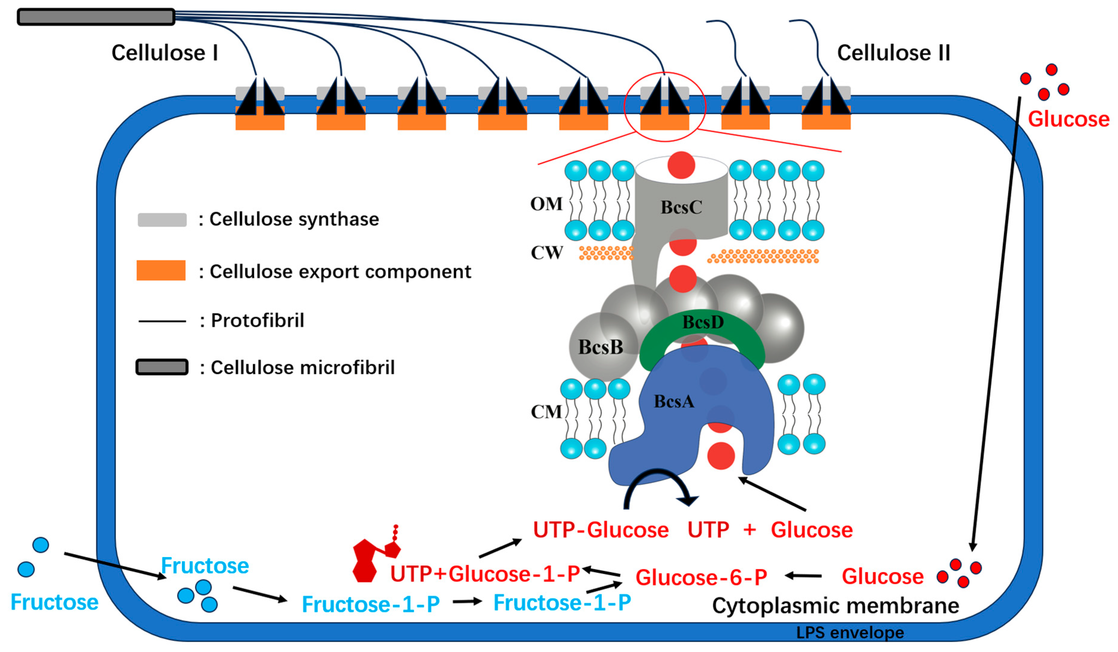 Polymers 15 03812 g005
