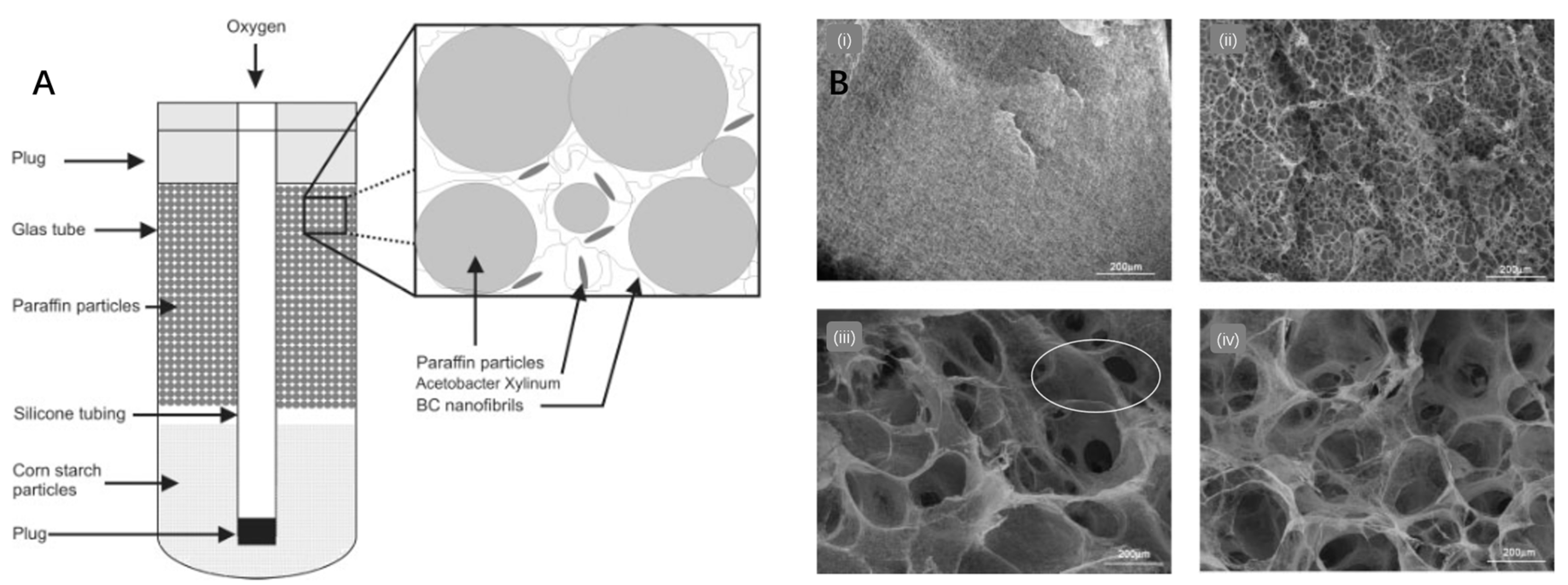 Polymers 15 03812 g008