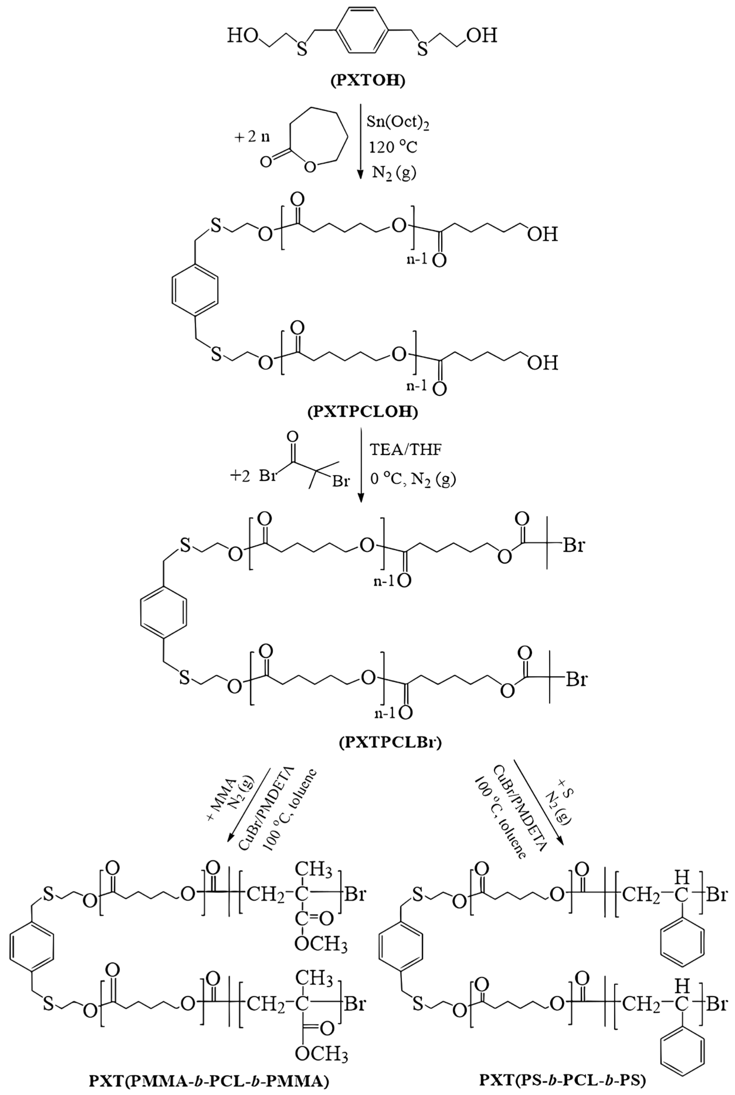 Polymers 15 03813 sch002 Polymers 15 03813 sch002