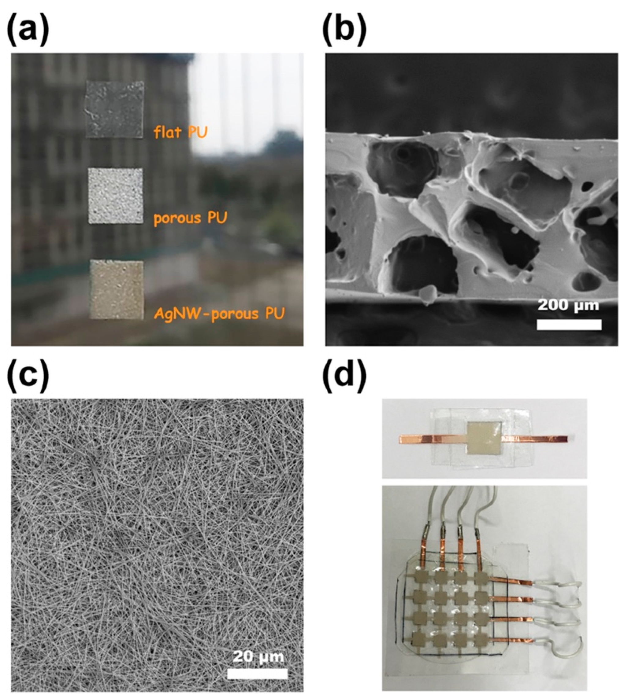 Polymers 15 03816 g002