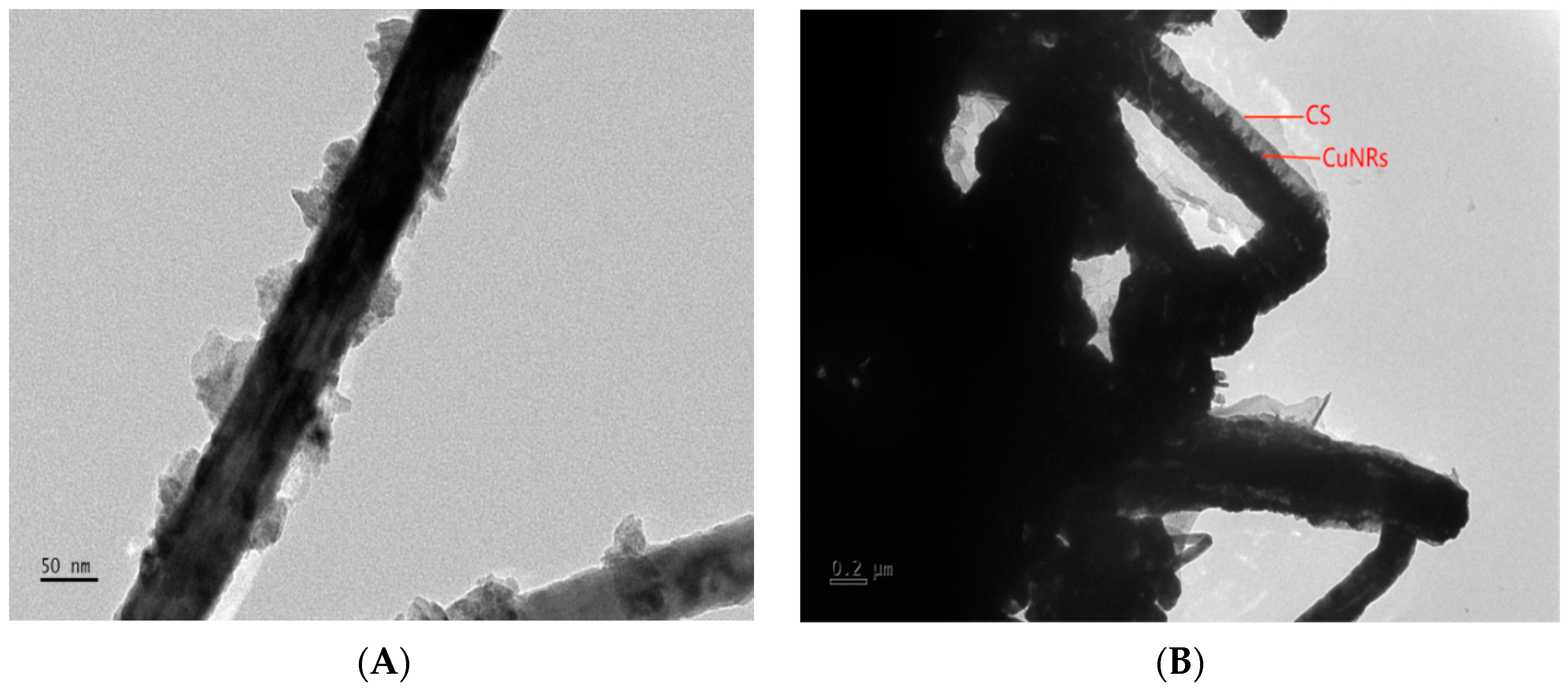 Polymers 15 03820 g001