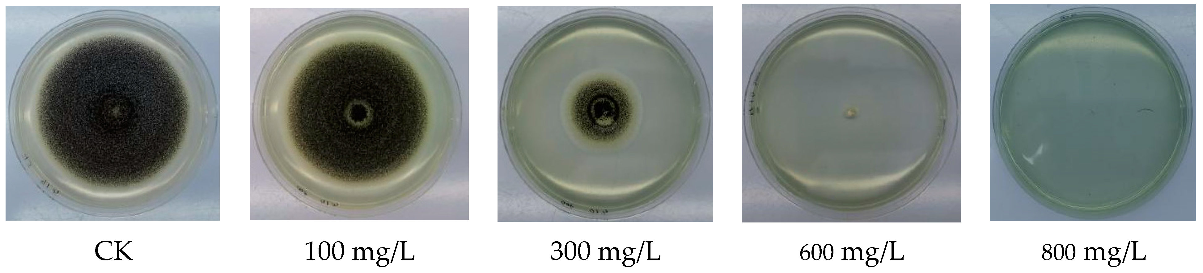 Polymers 15 03820 g006