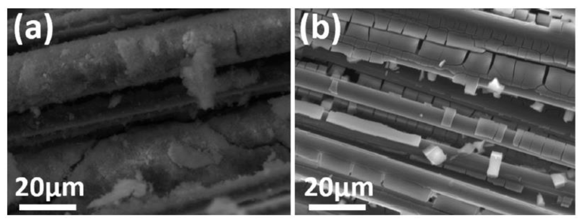 Polymers 15 03826 g012