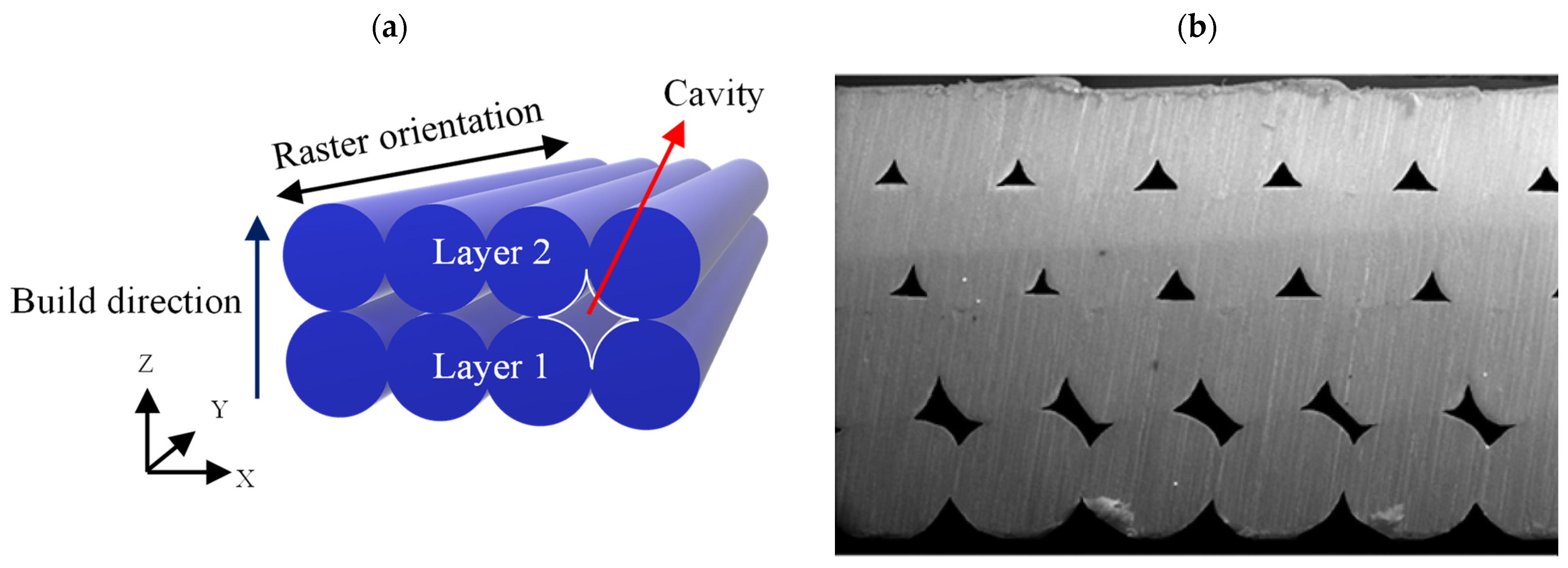 Polymers 15 03827 g014
