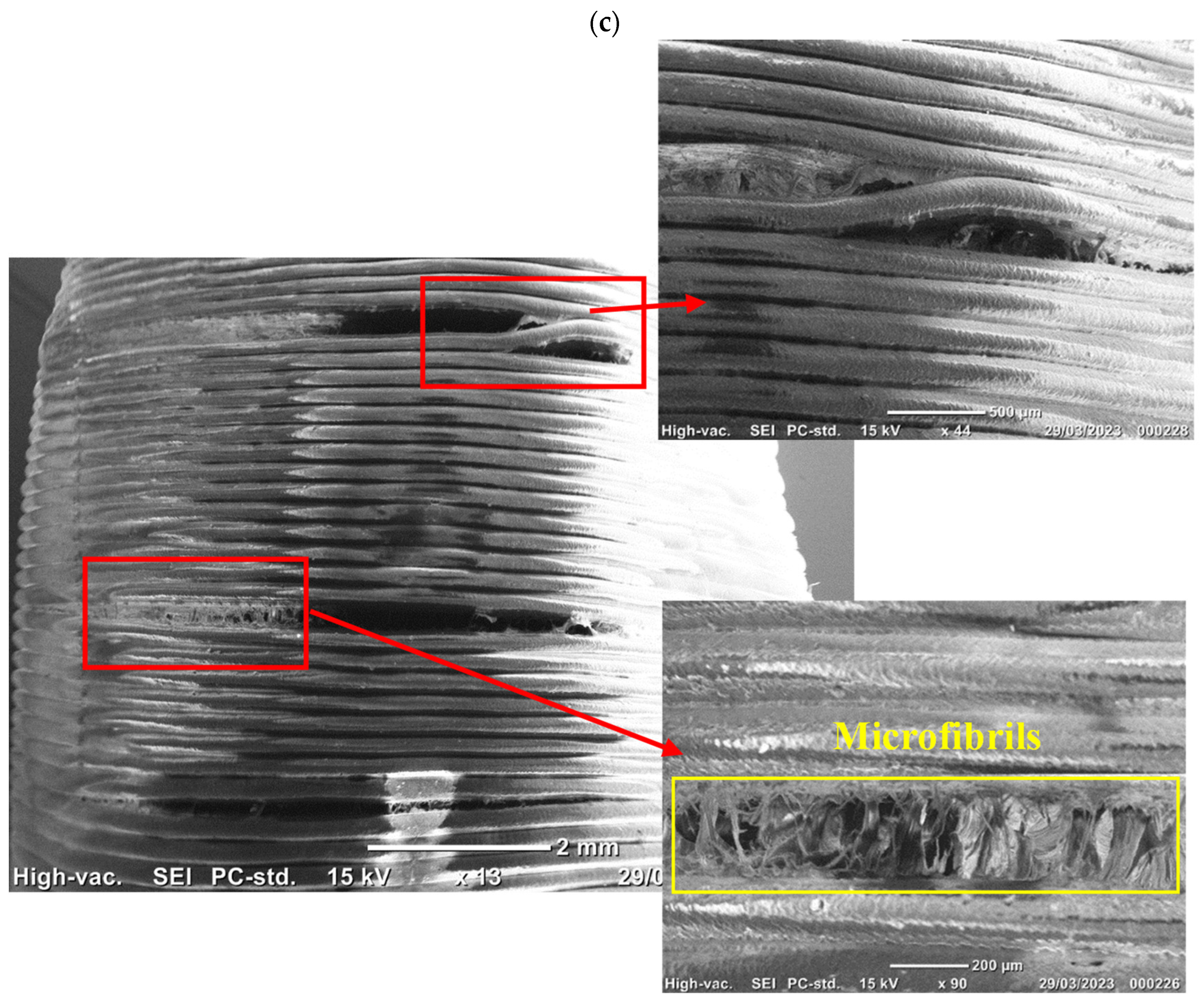 Polymers 15 03827 g018b