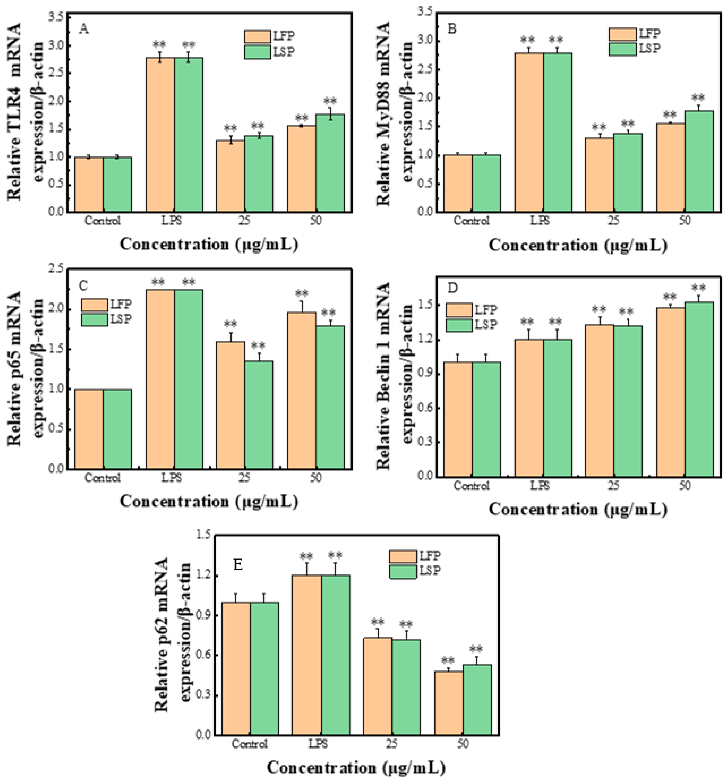 Polymers 15 03828 g006