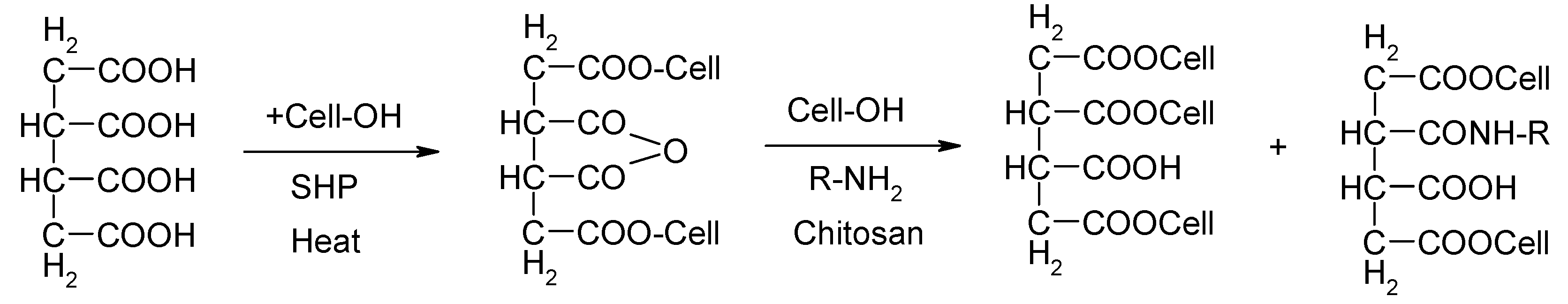 Polymers 15 03829 g001