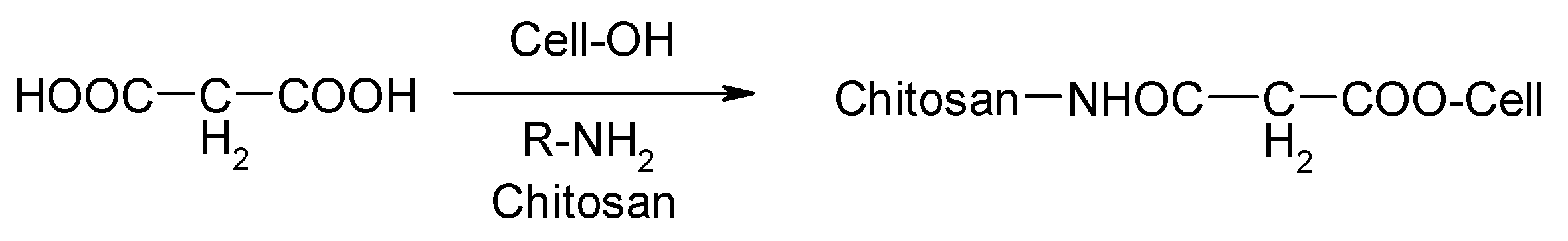 Polymers 15 03829 g002