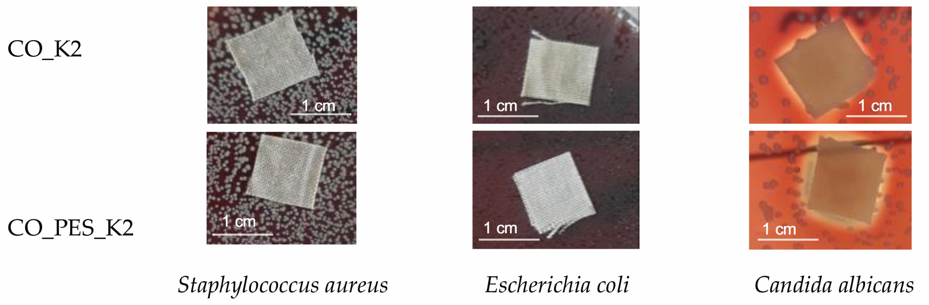 Polymers 15 03829 g009