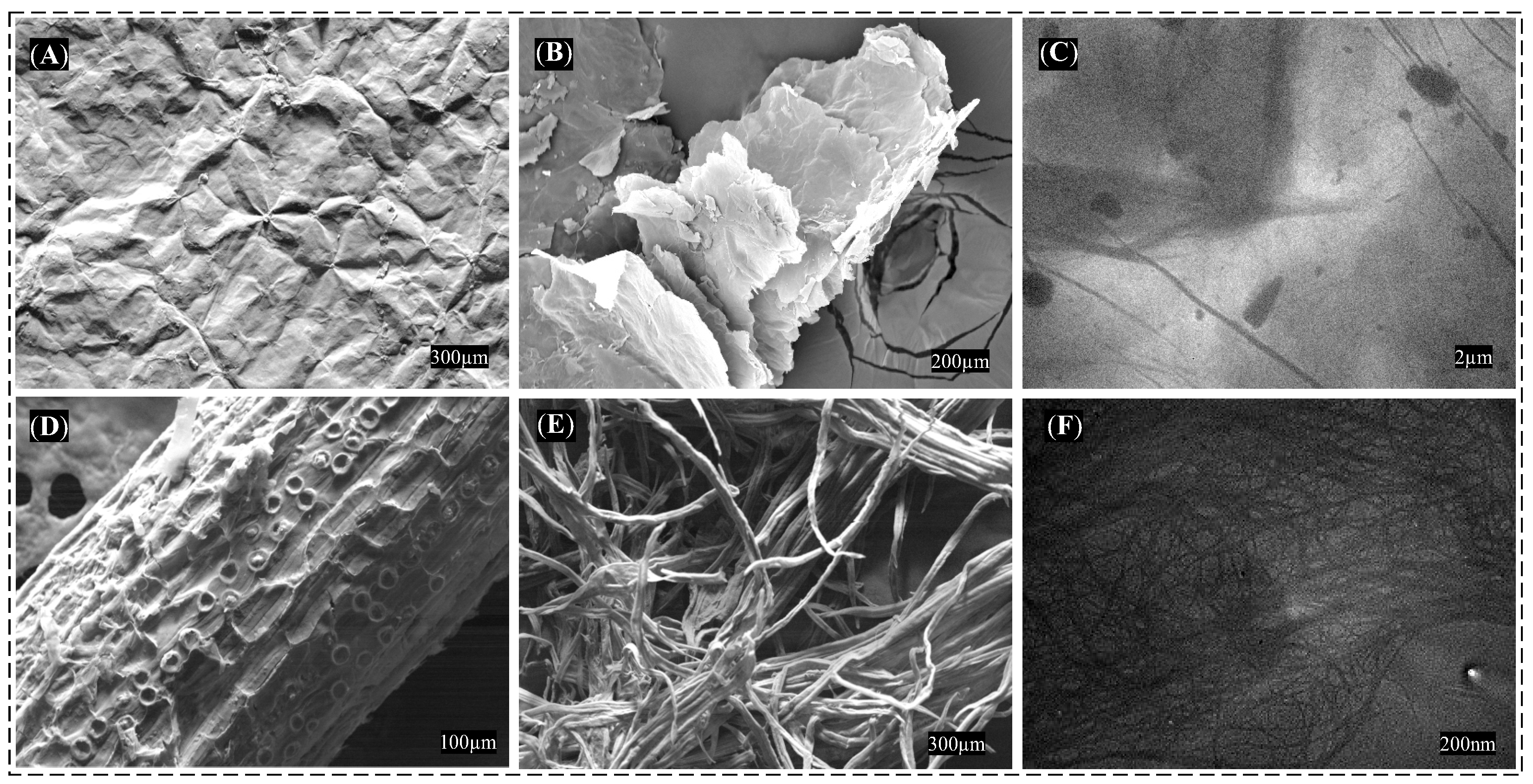 Polymers 15 03833 g004