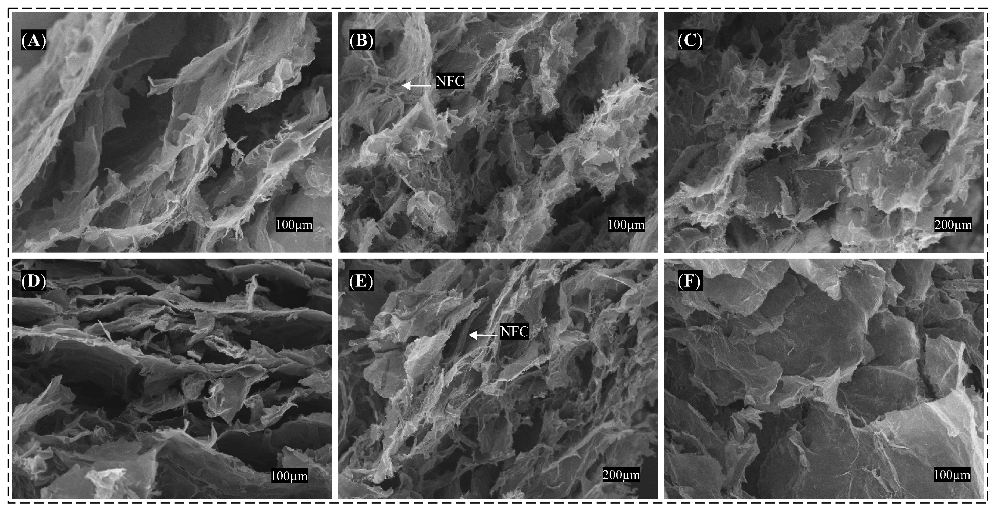 Polymers 15 03833 g005