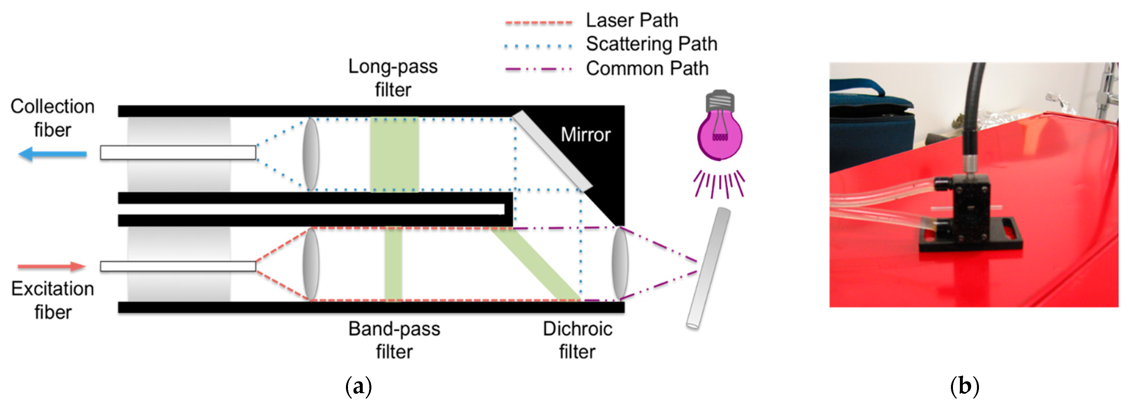 Polymers 15 03835 g005