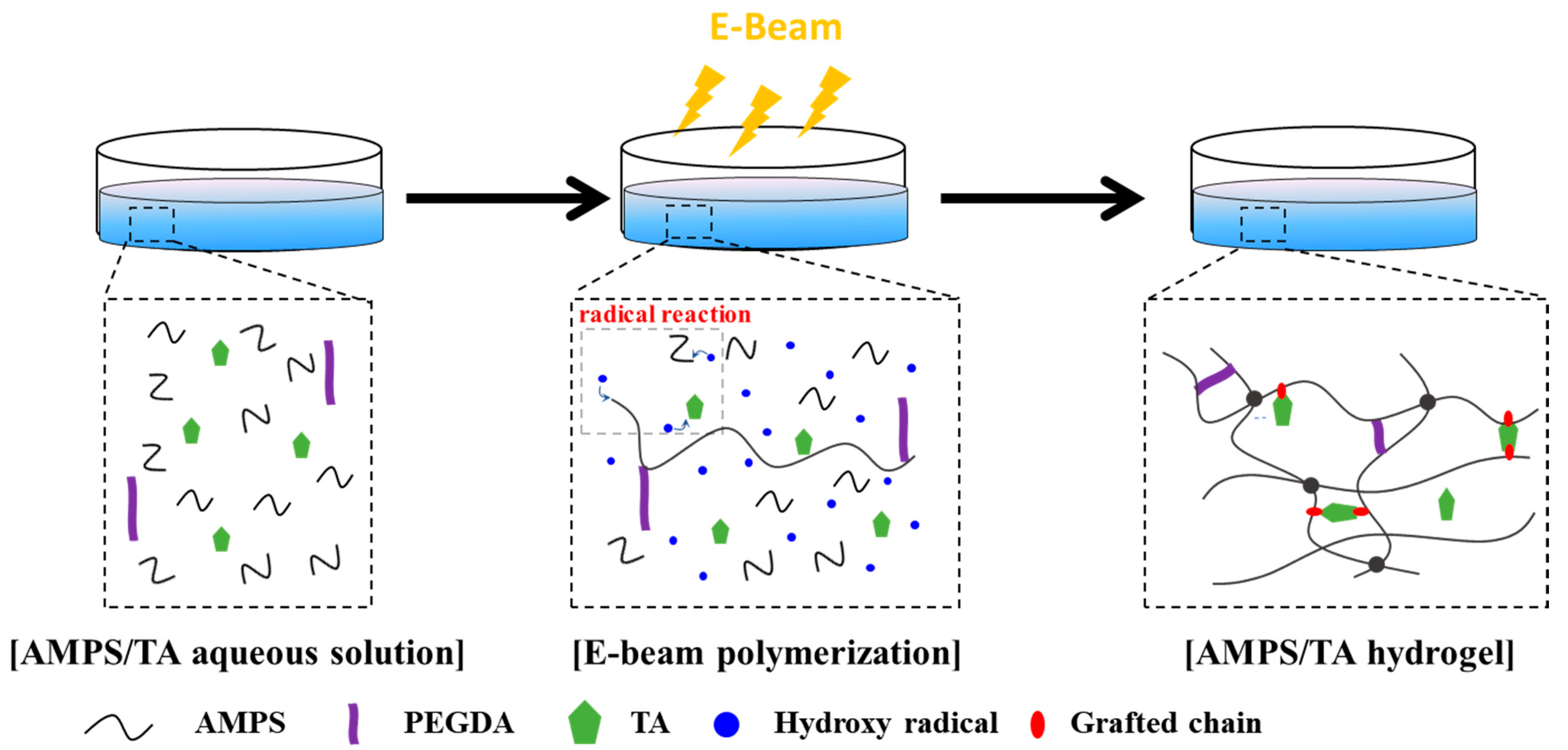 Polymers 15 03836 g002