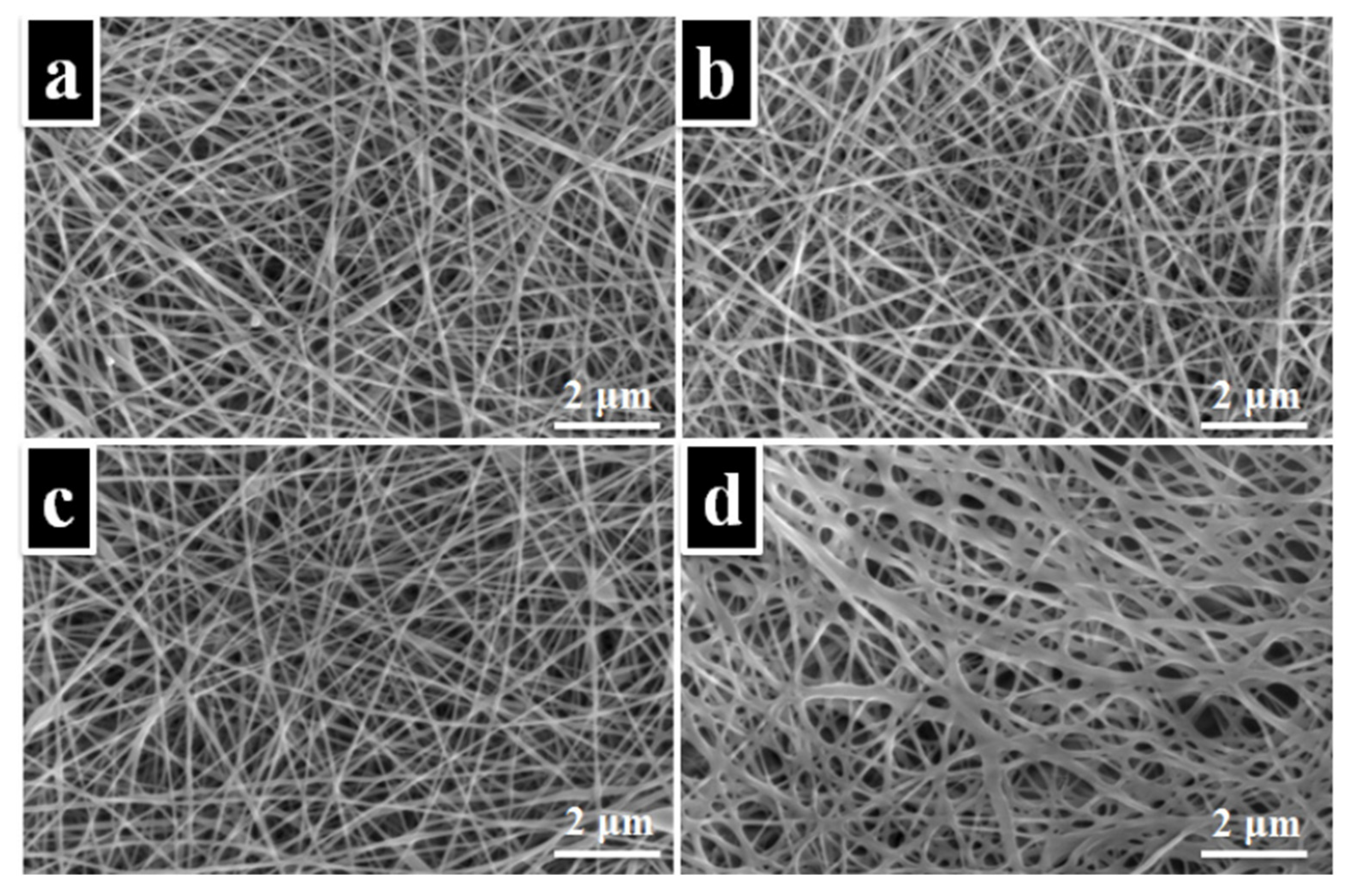 Polymers 15 03837 g012