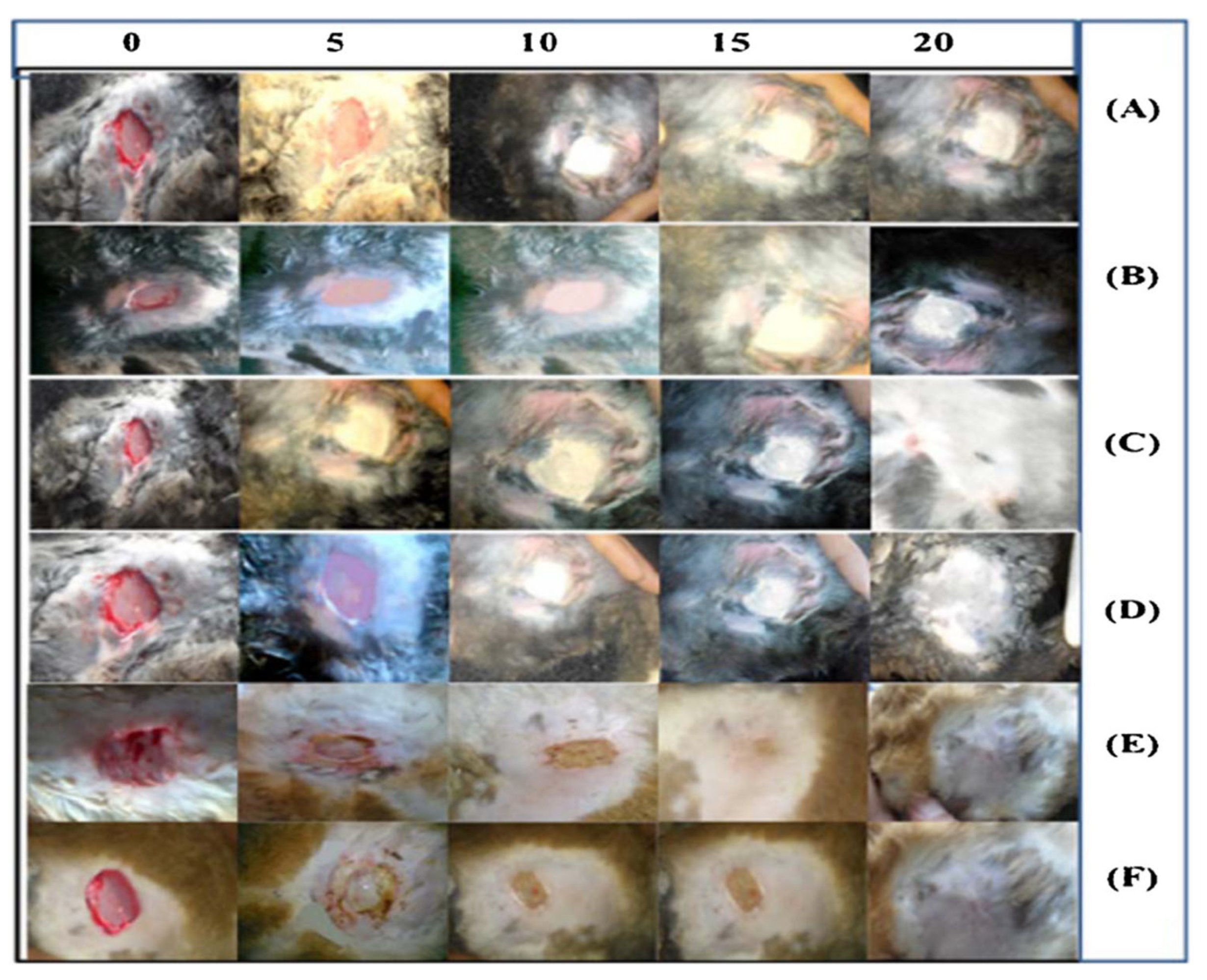 Polymers 15 03837 g013