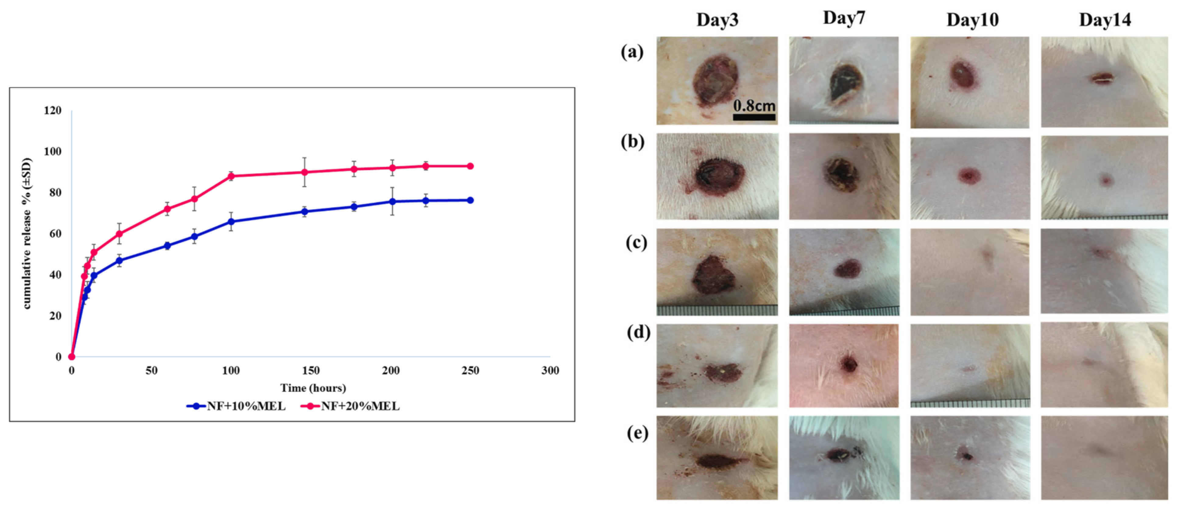 Polymers 15 03837 g014