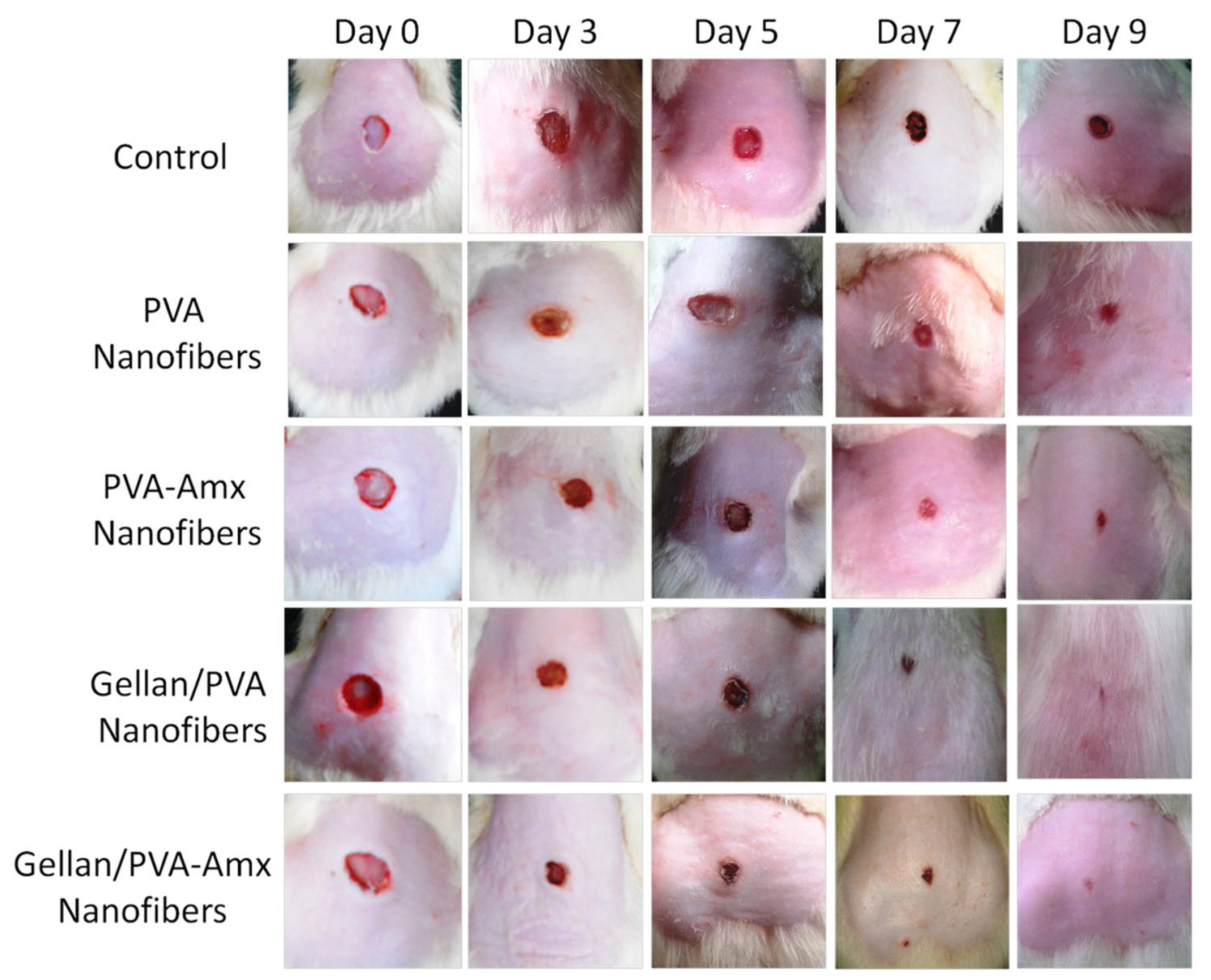 Polymers 15 03837 g015