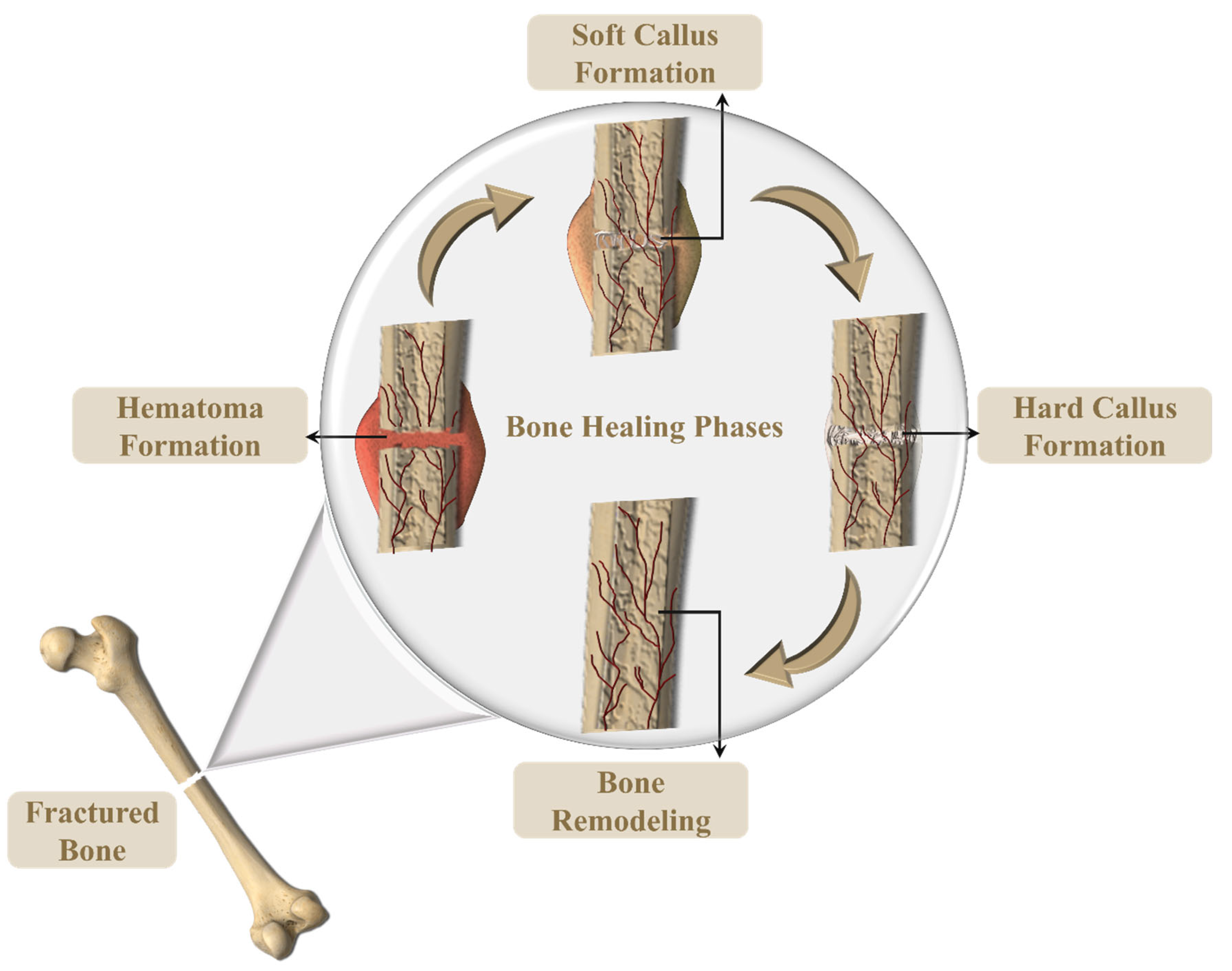 Polymers 15 03837 g016