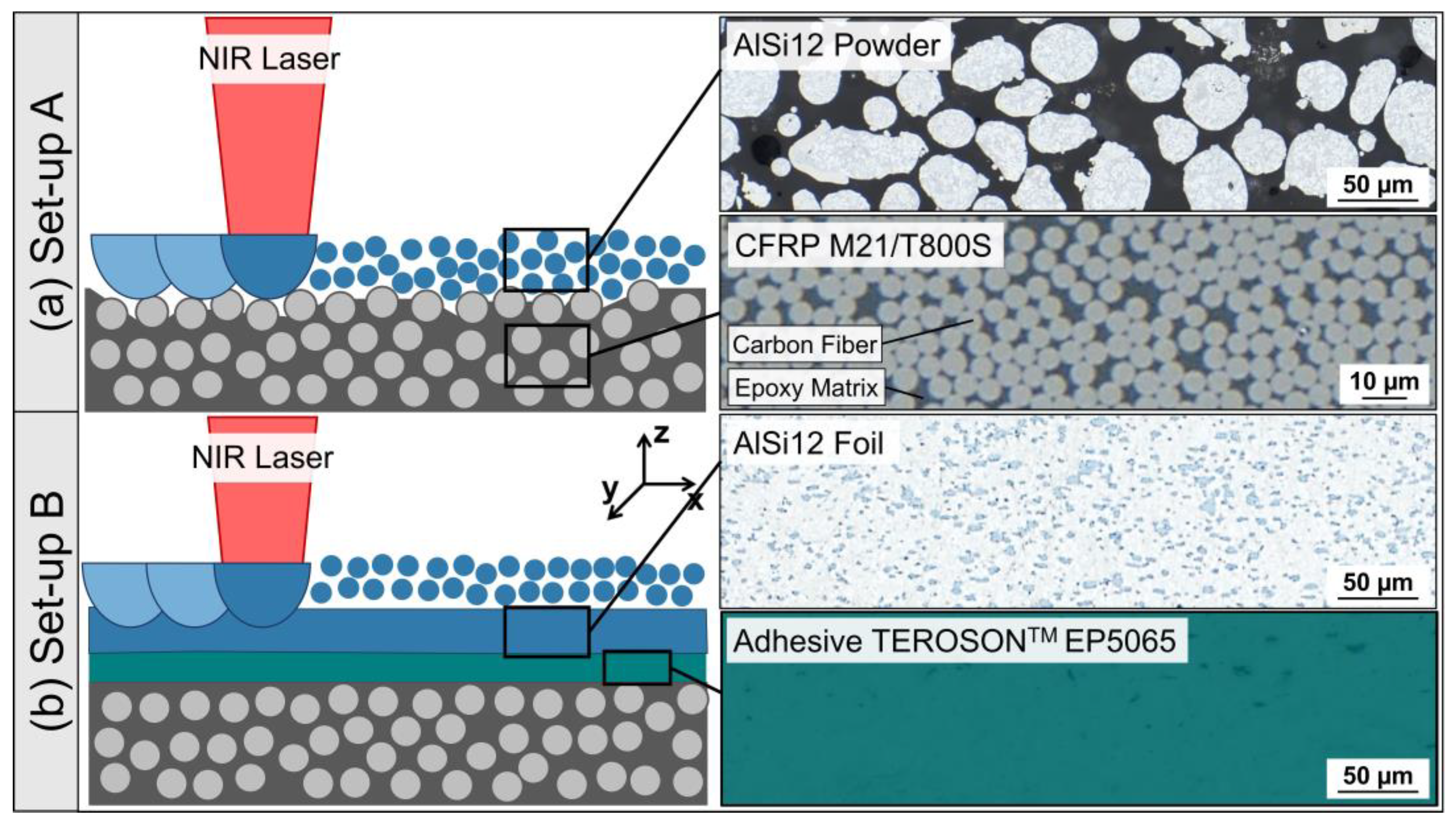 Polymers 15 03839 g001