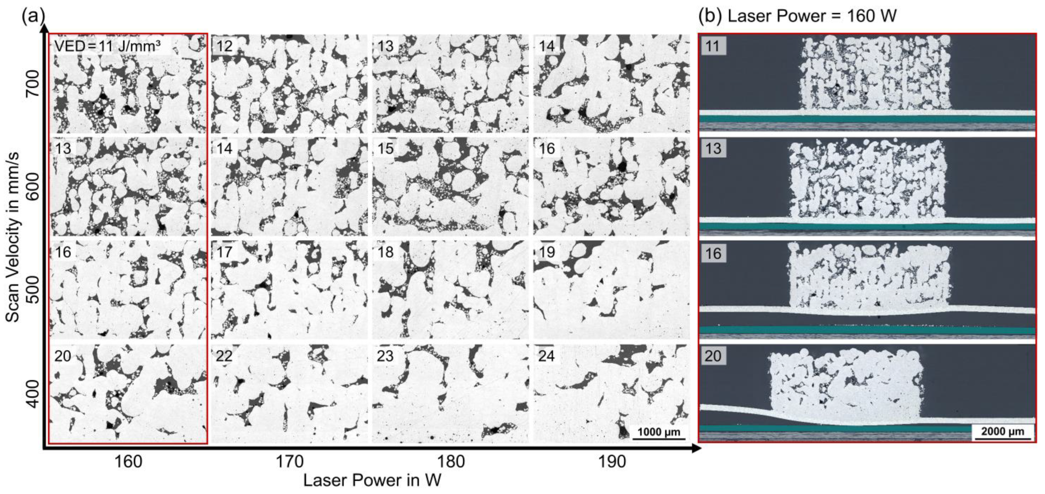 Polymers 15 03839 g006