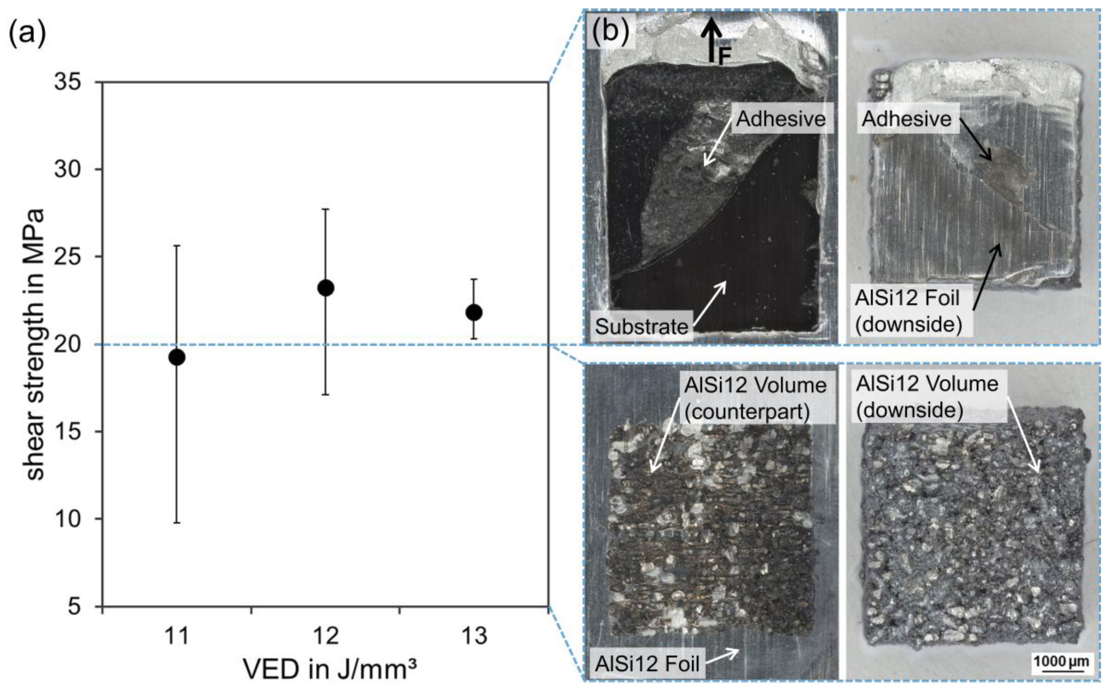 Polymers 15 03839 g009