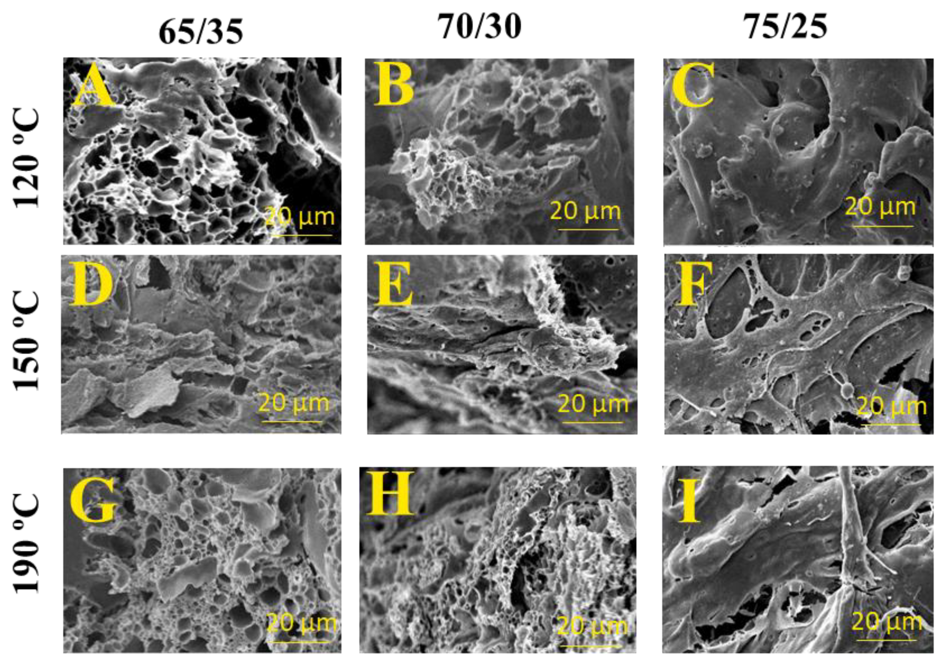 Polymers 15 03841 g008