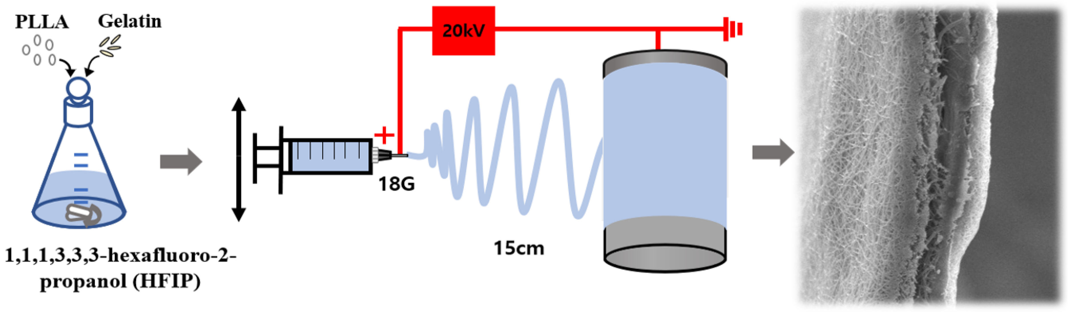 Polymers 15 03844 g001