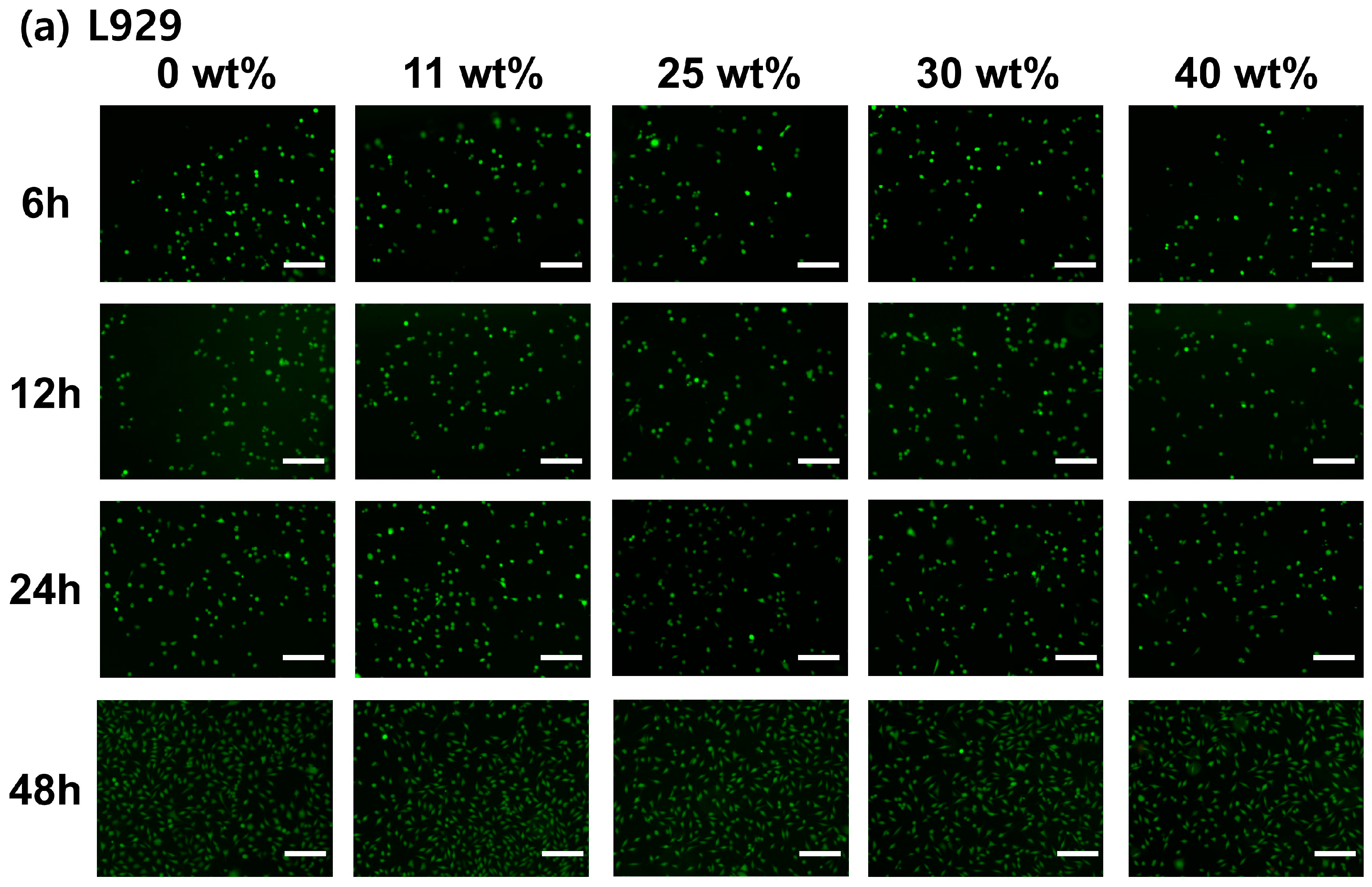 Polymers 15 03844 g007a
