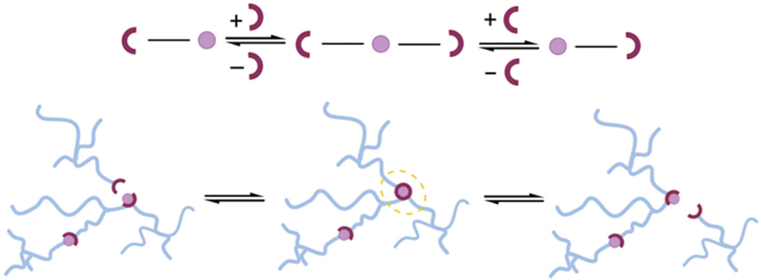 Polymers 15 03845 g001