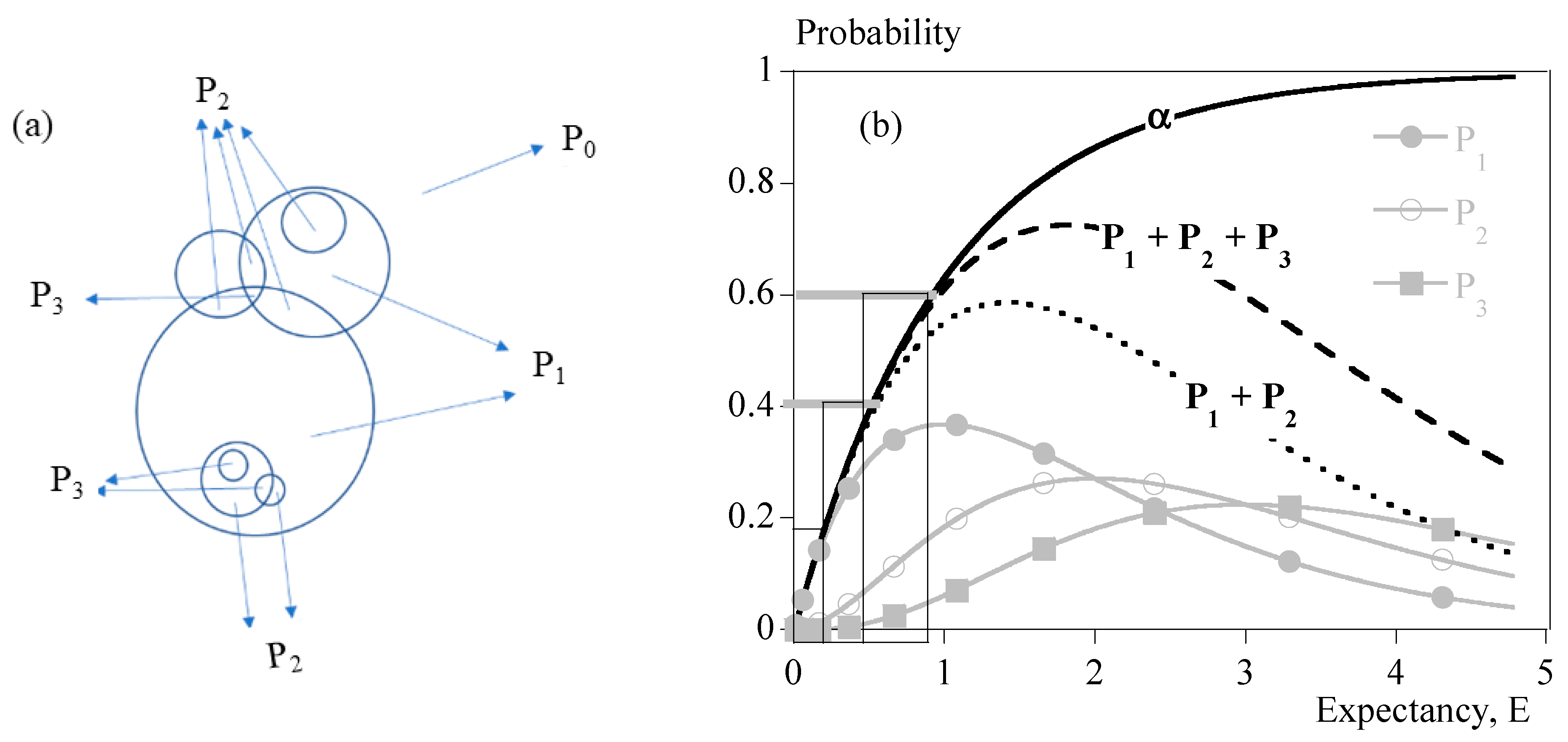 Polymers 15 03846 g001