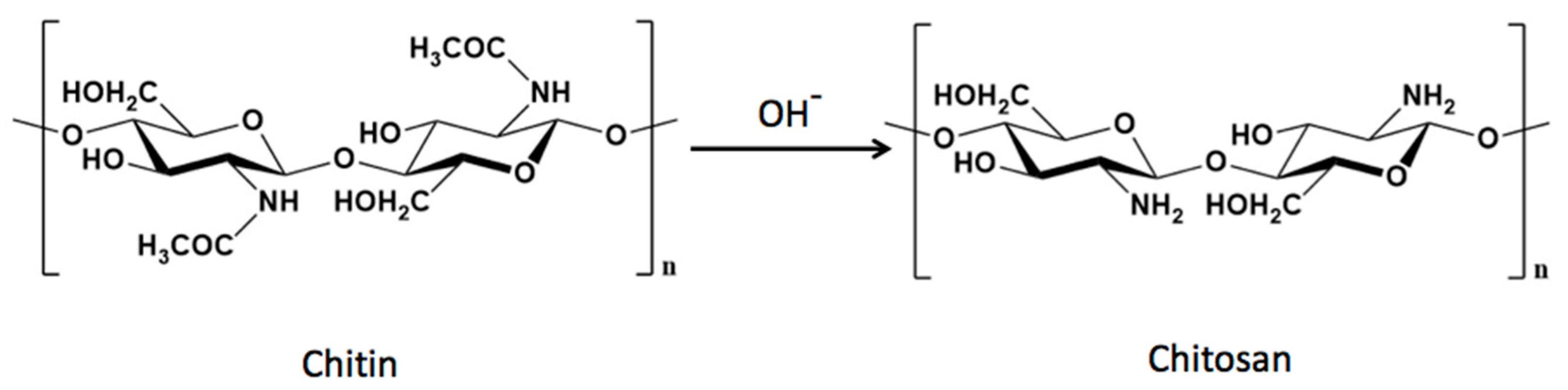 Polymers 15 03849 g001