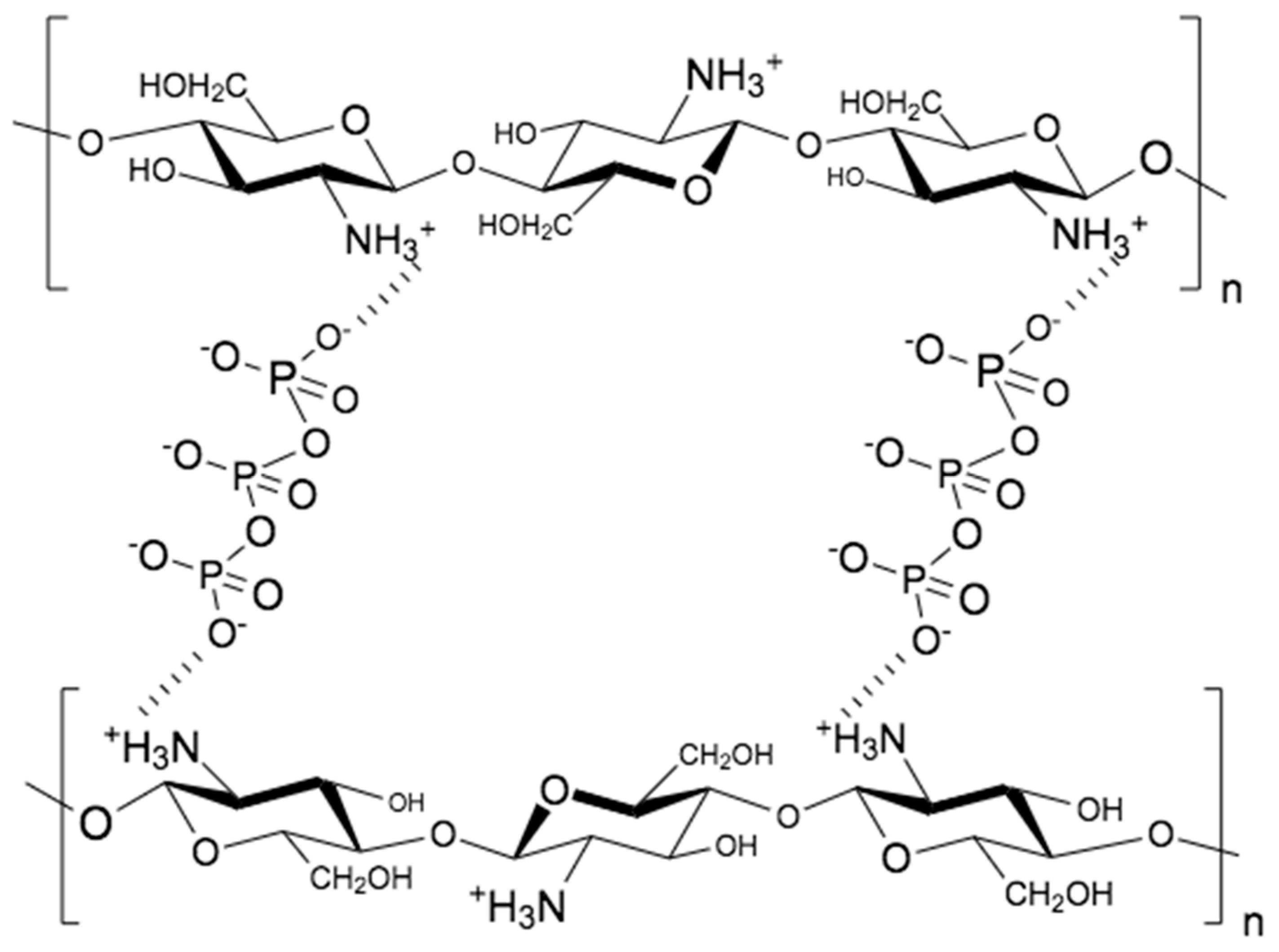 Polymers 15 03849 g002