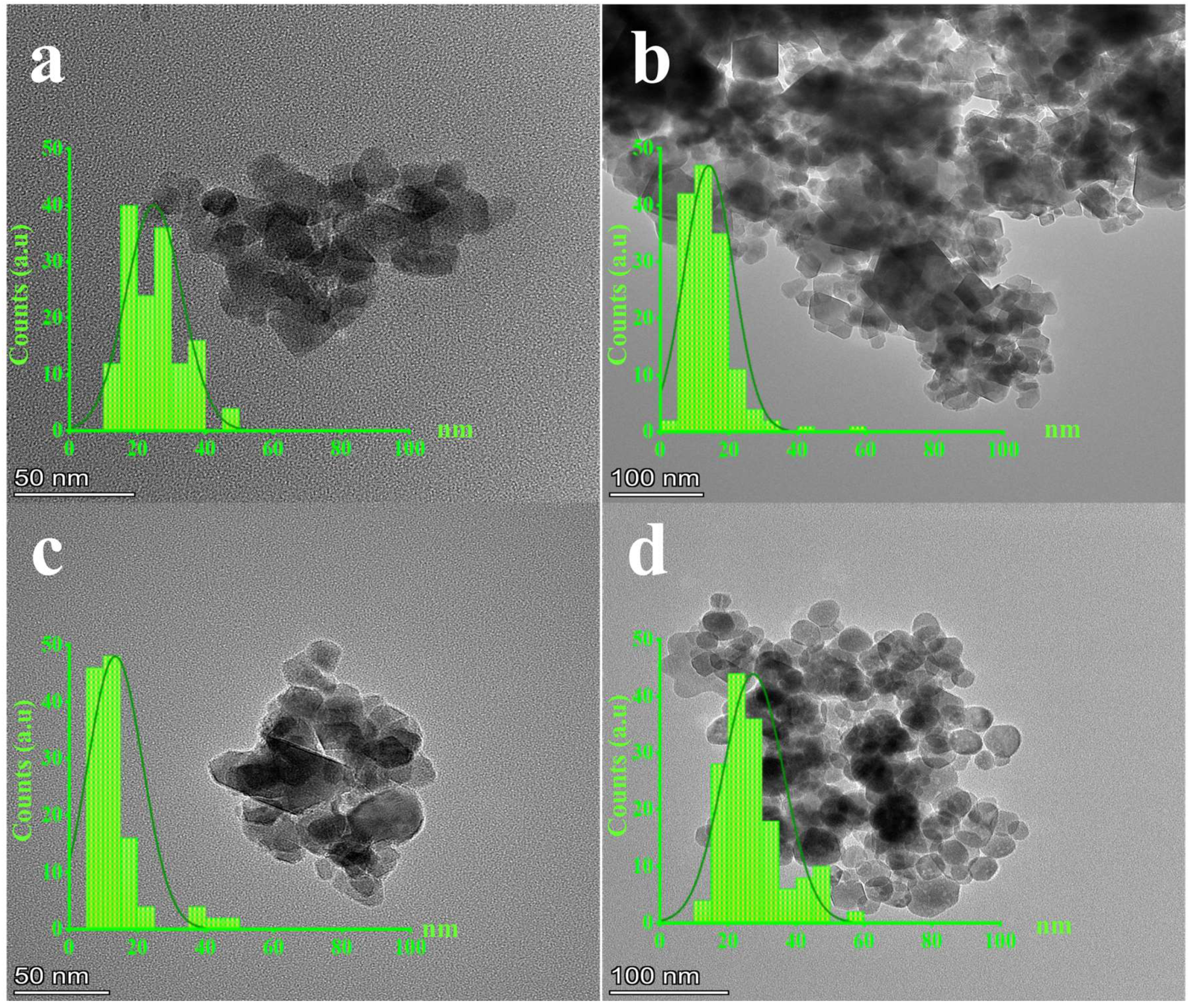 Polymers 15 03850 g004