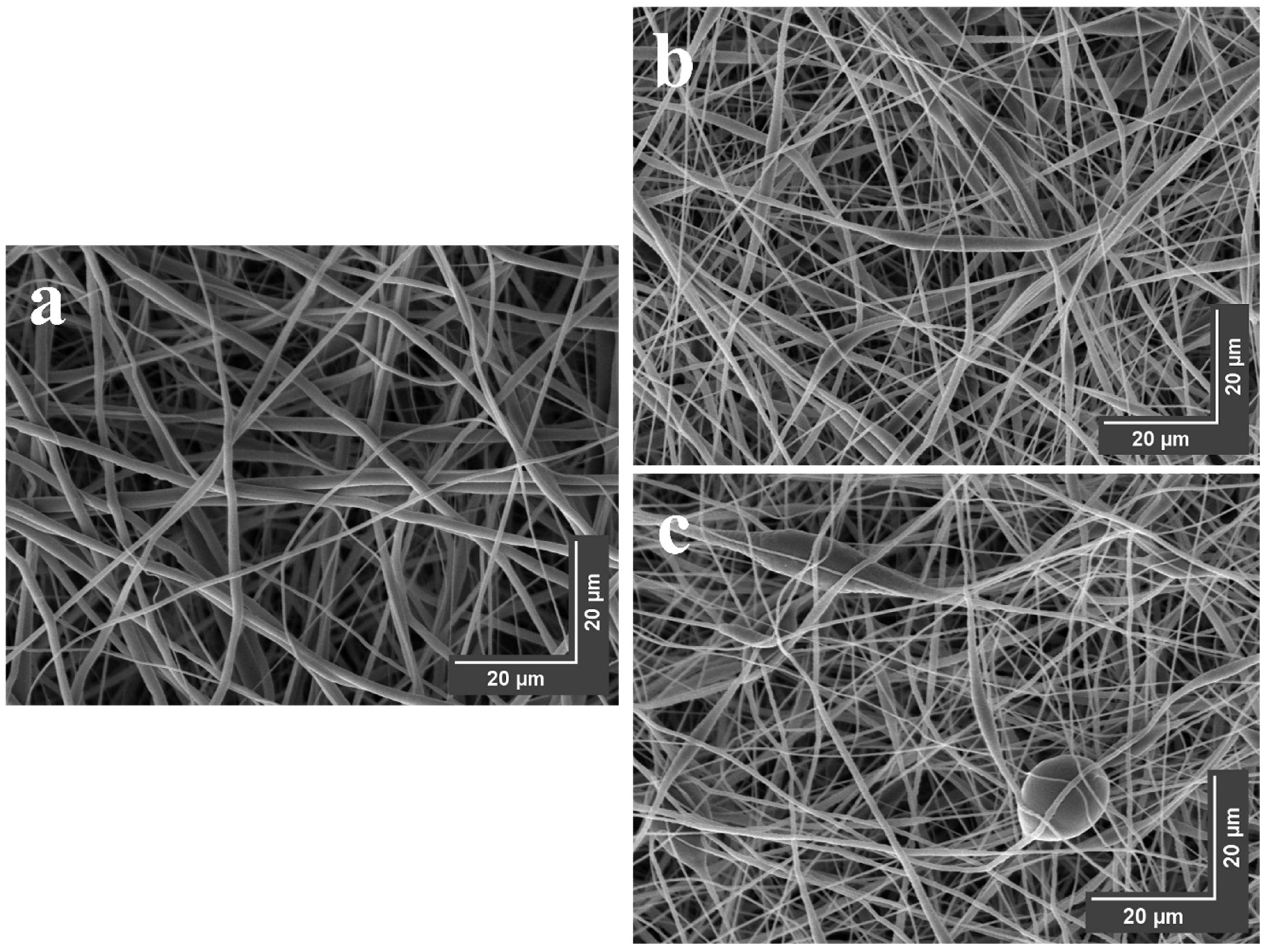 Polymers 15 03850 g010