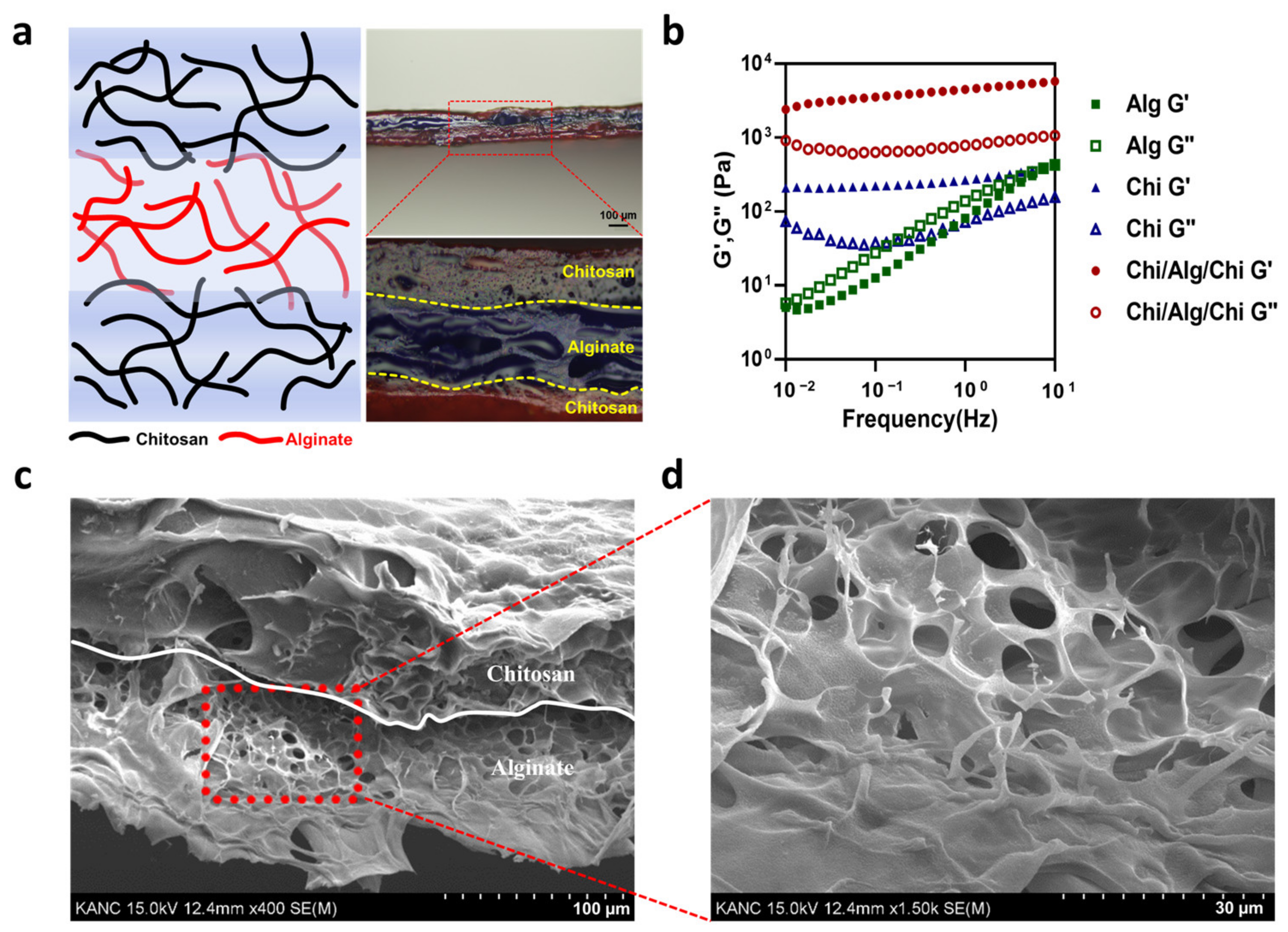 Polymers 15 03852 g002