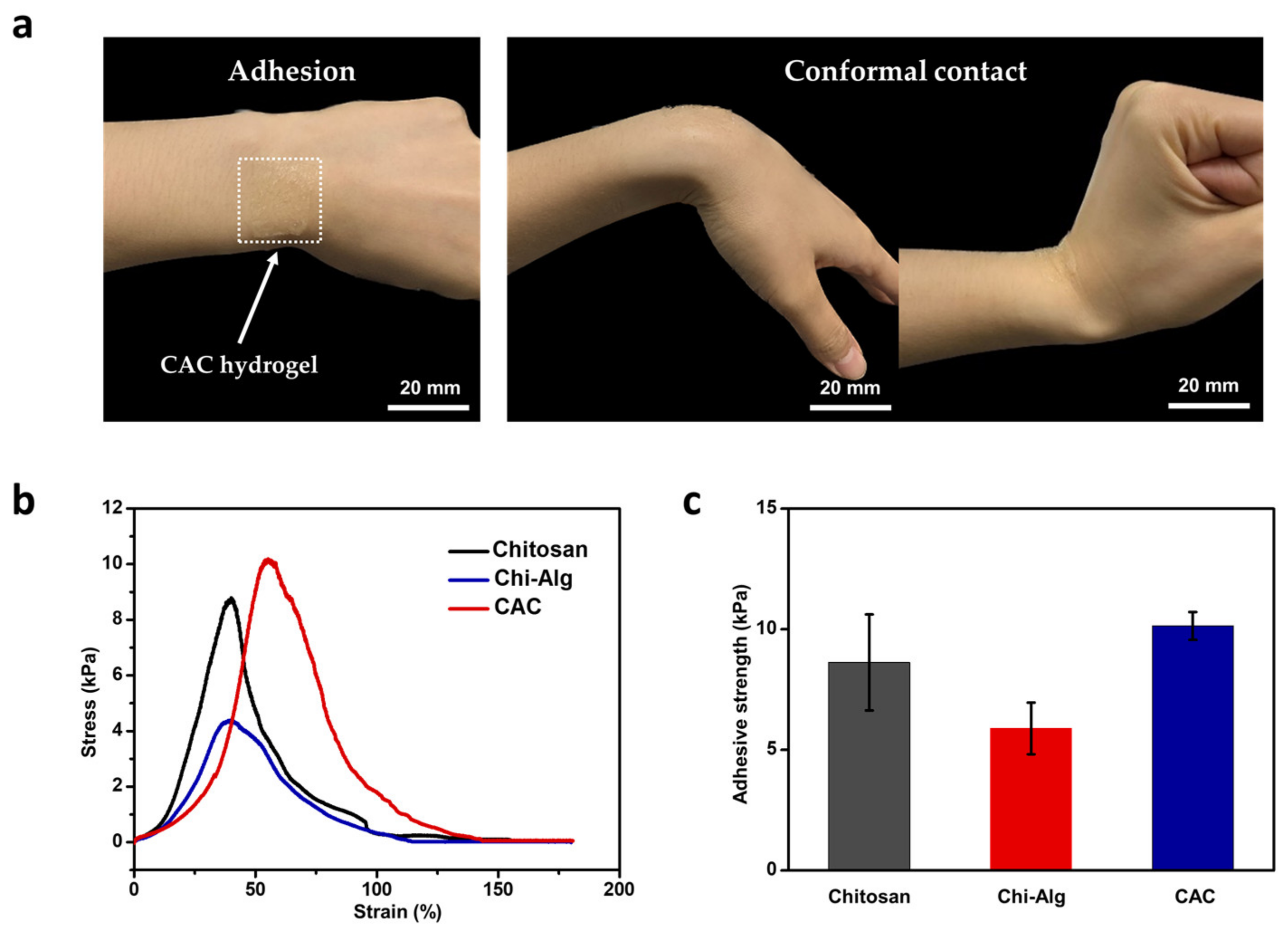 Polymers 15 03852 g003