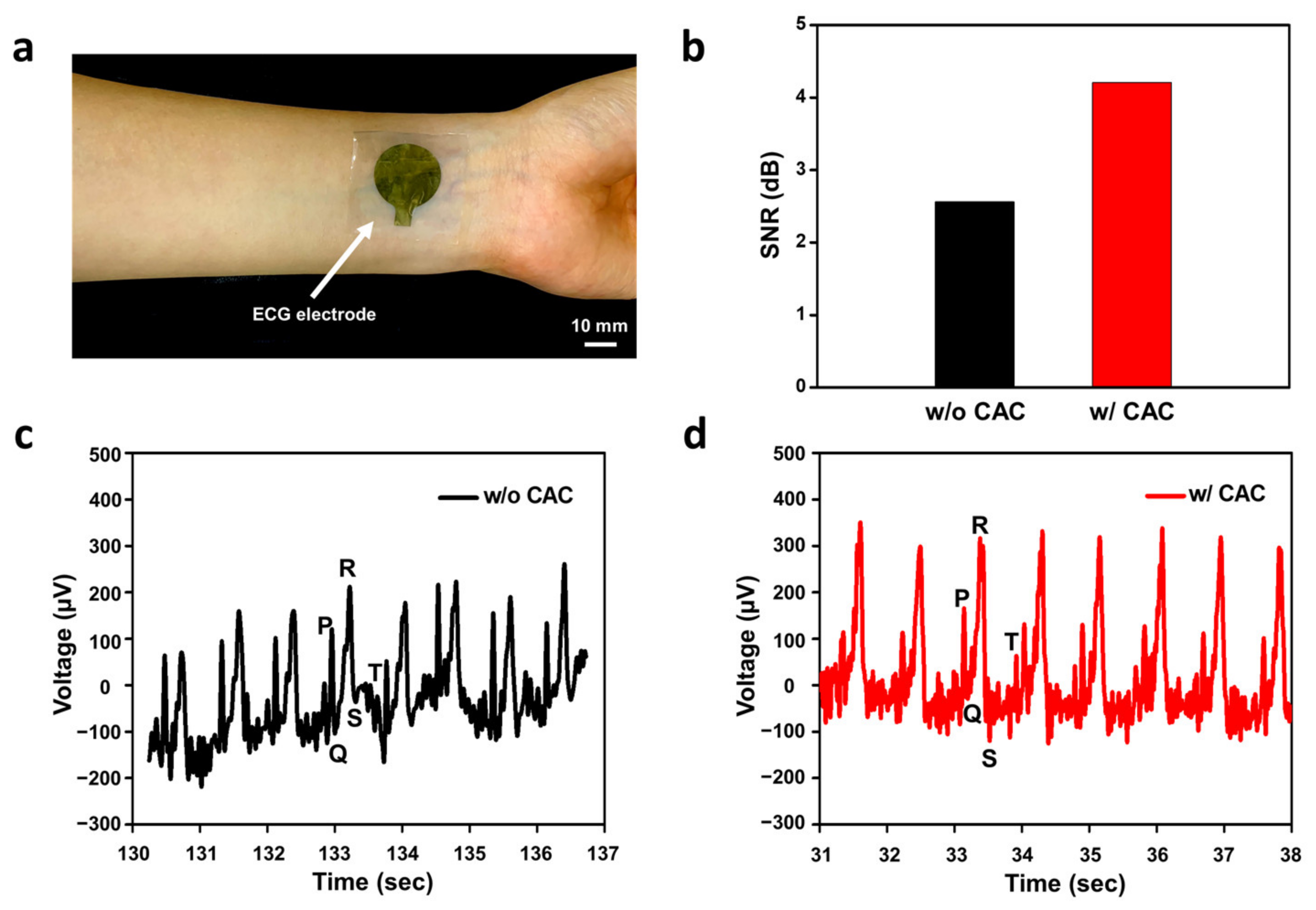 Polymers 15 03852 g005