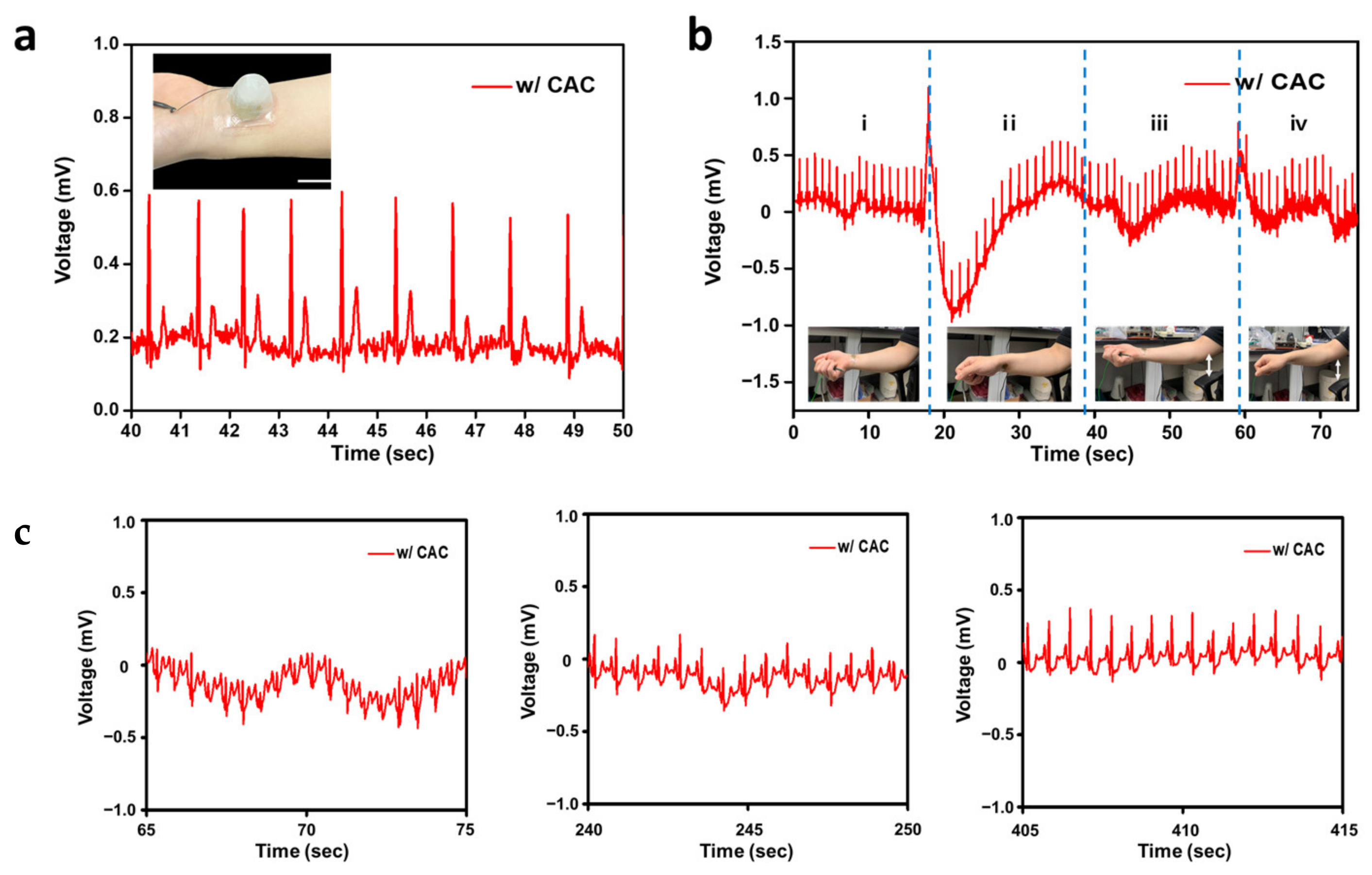 Polymers 15 03852 g006