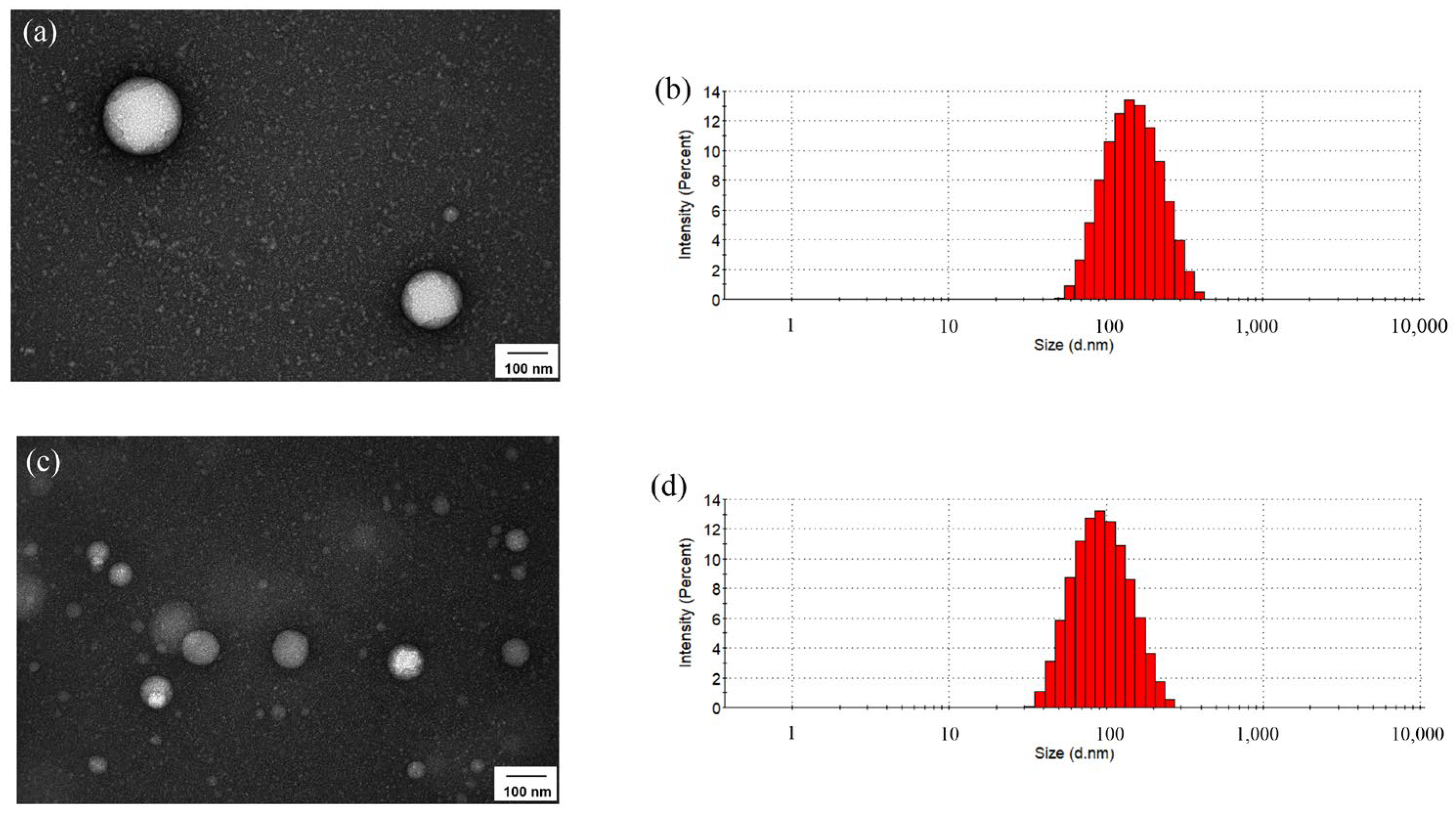 Polymers 15 03853 g002