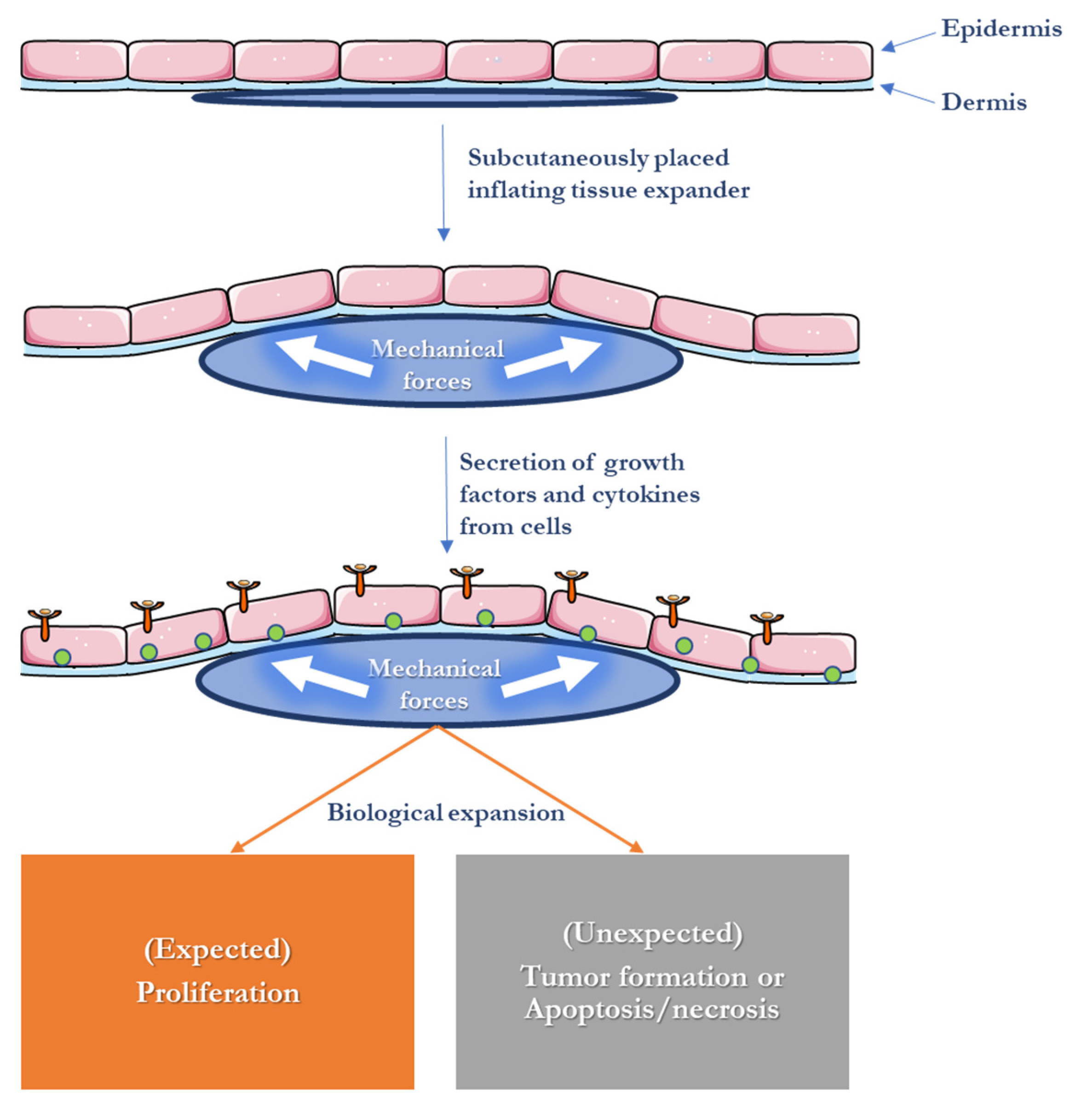 Polymers 15 03854 g002