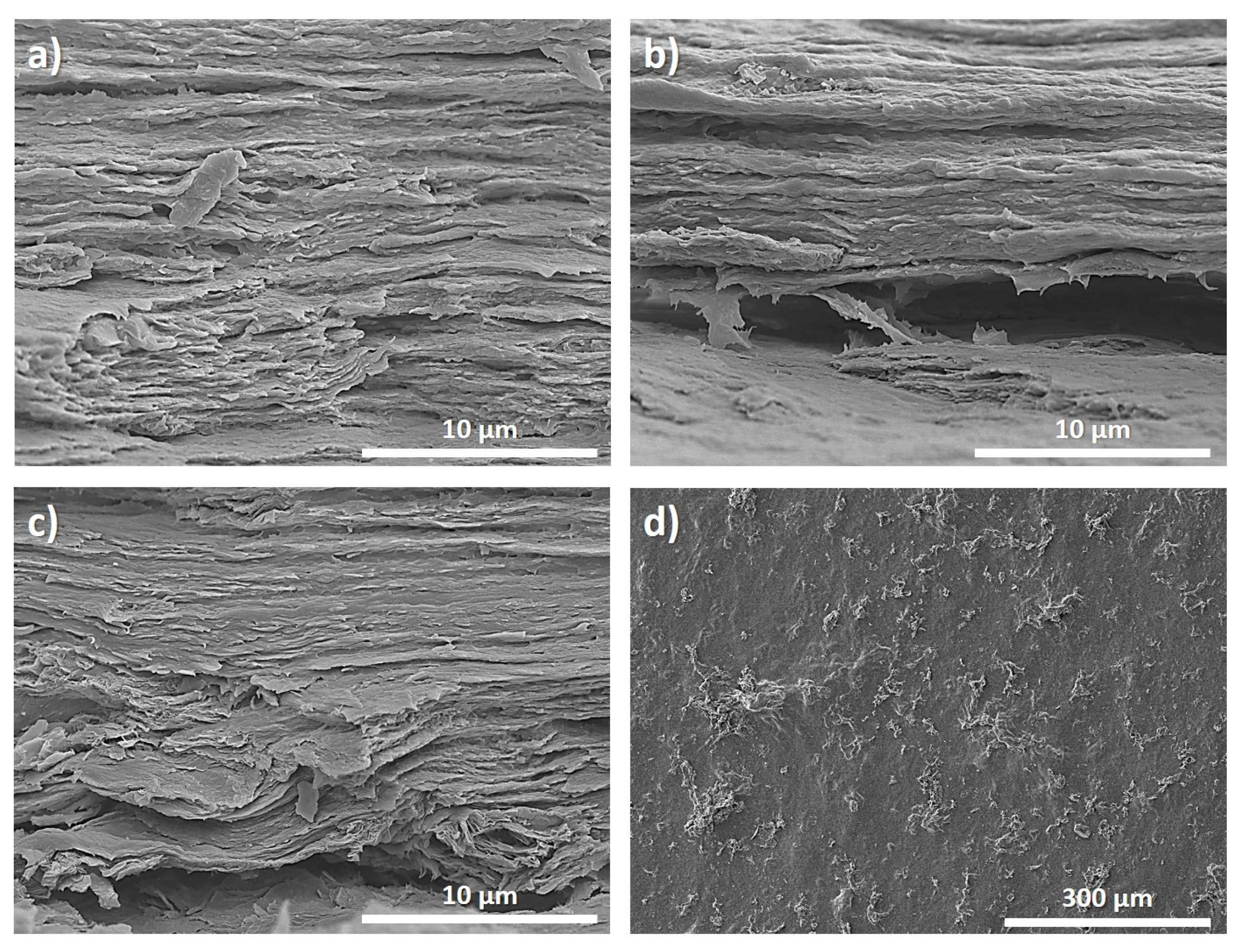 Polymers 15 03855 g003